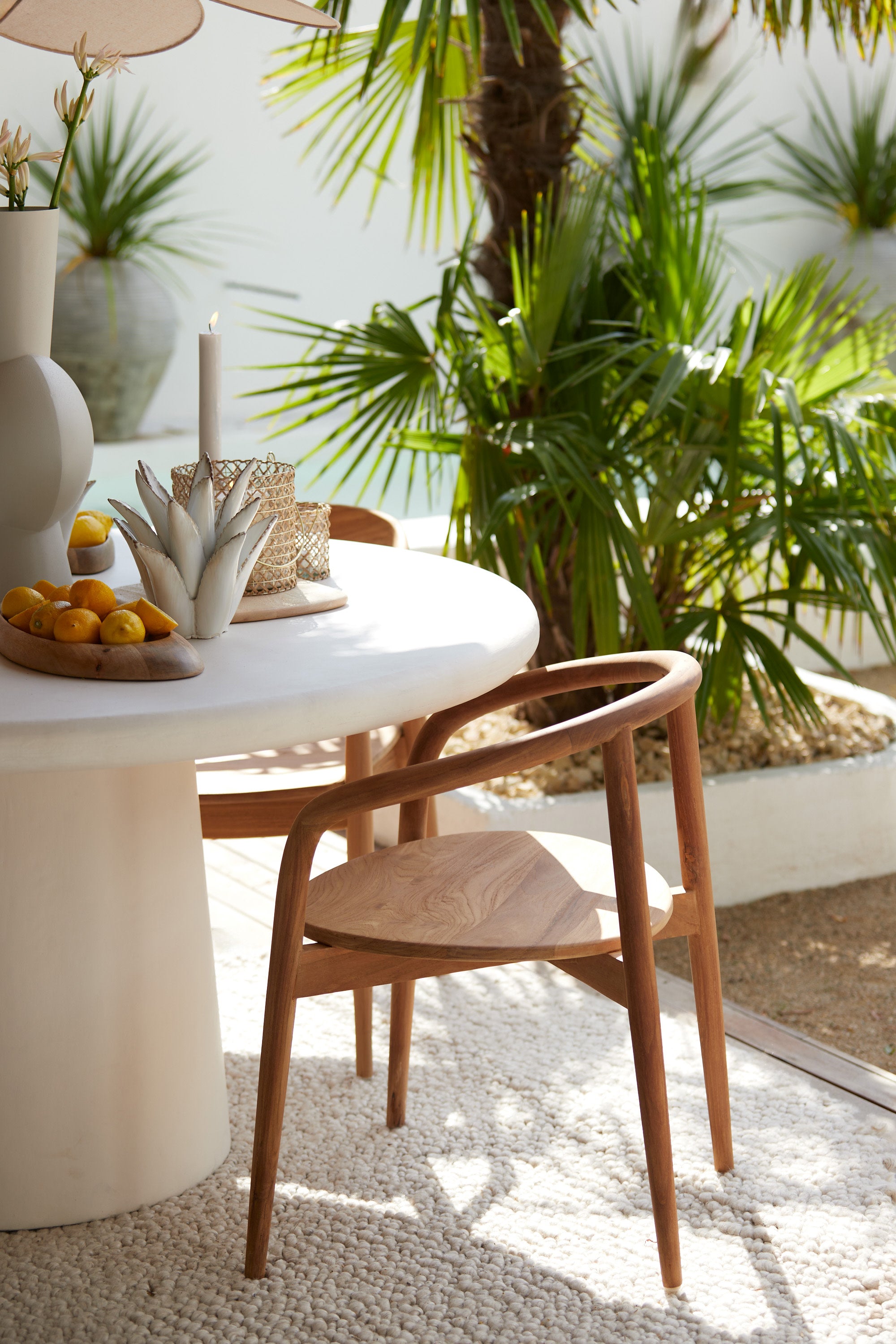Palca Natural Wood Dining Chair