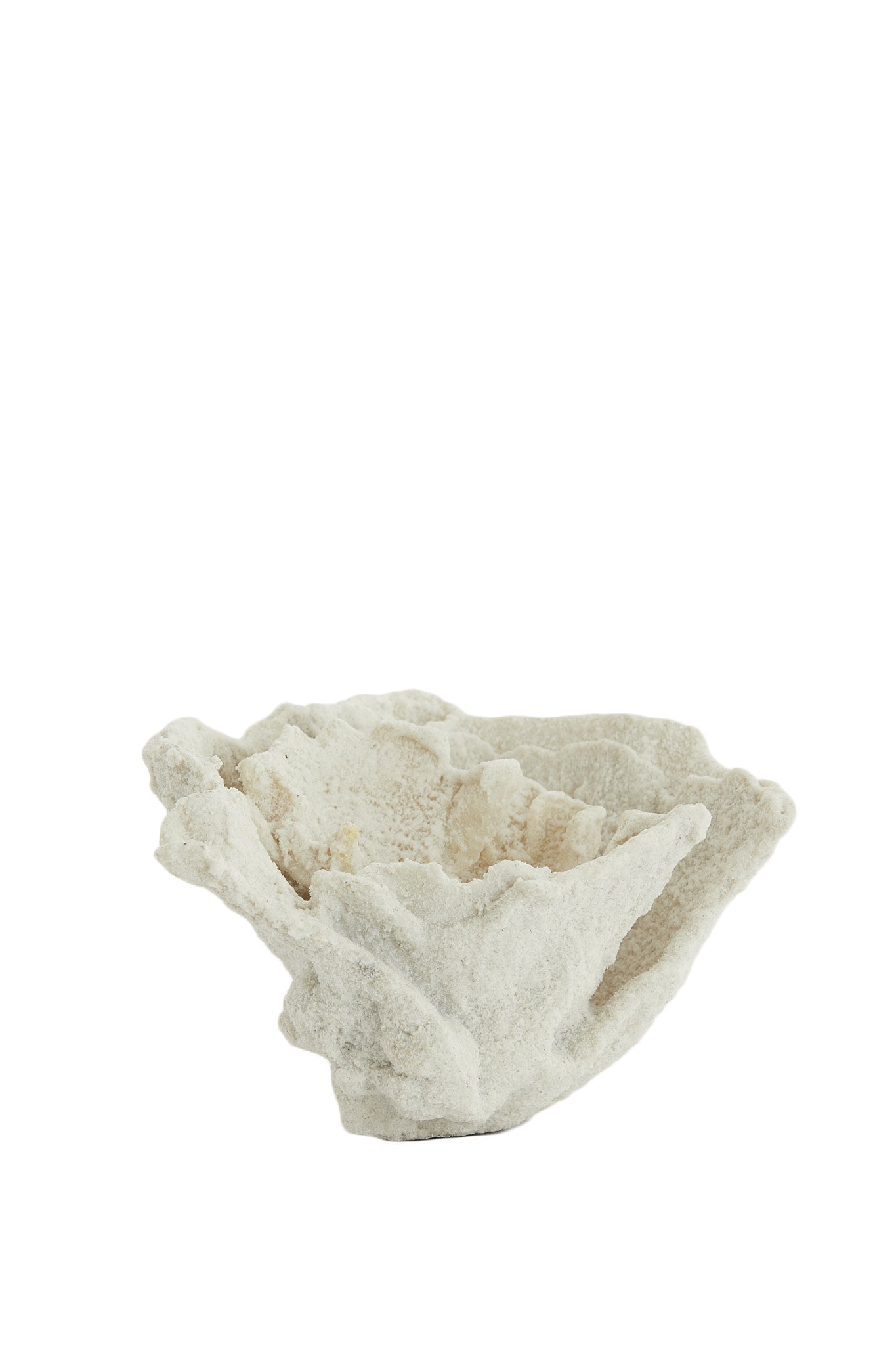 Coral Cream Ornament 13cm