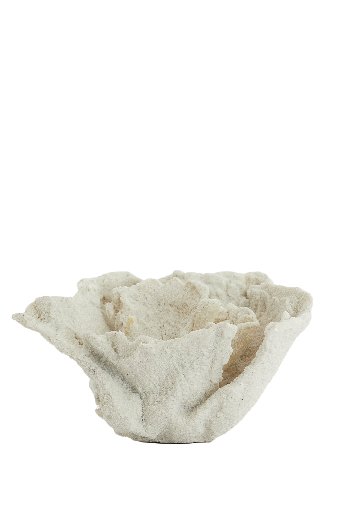 Coral Cream Ornament 13cm