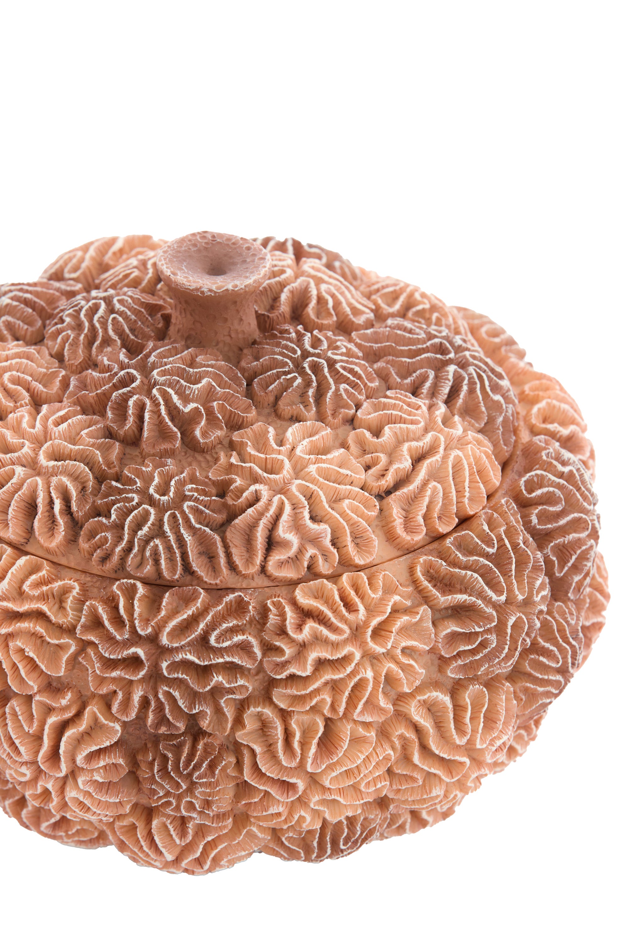 Coral Peach/Light Brown Decorative Storage Box with Lid 16cm