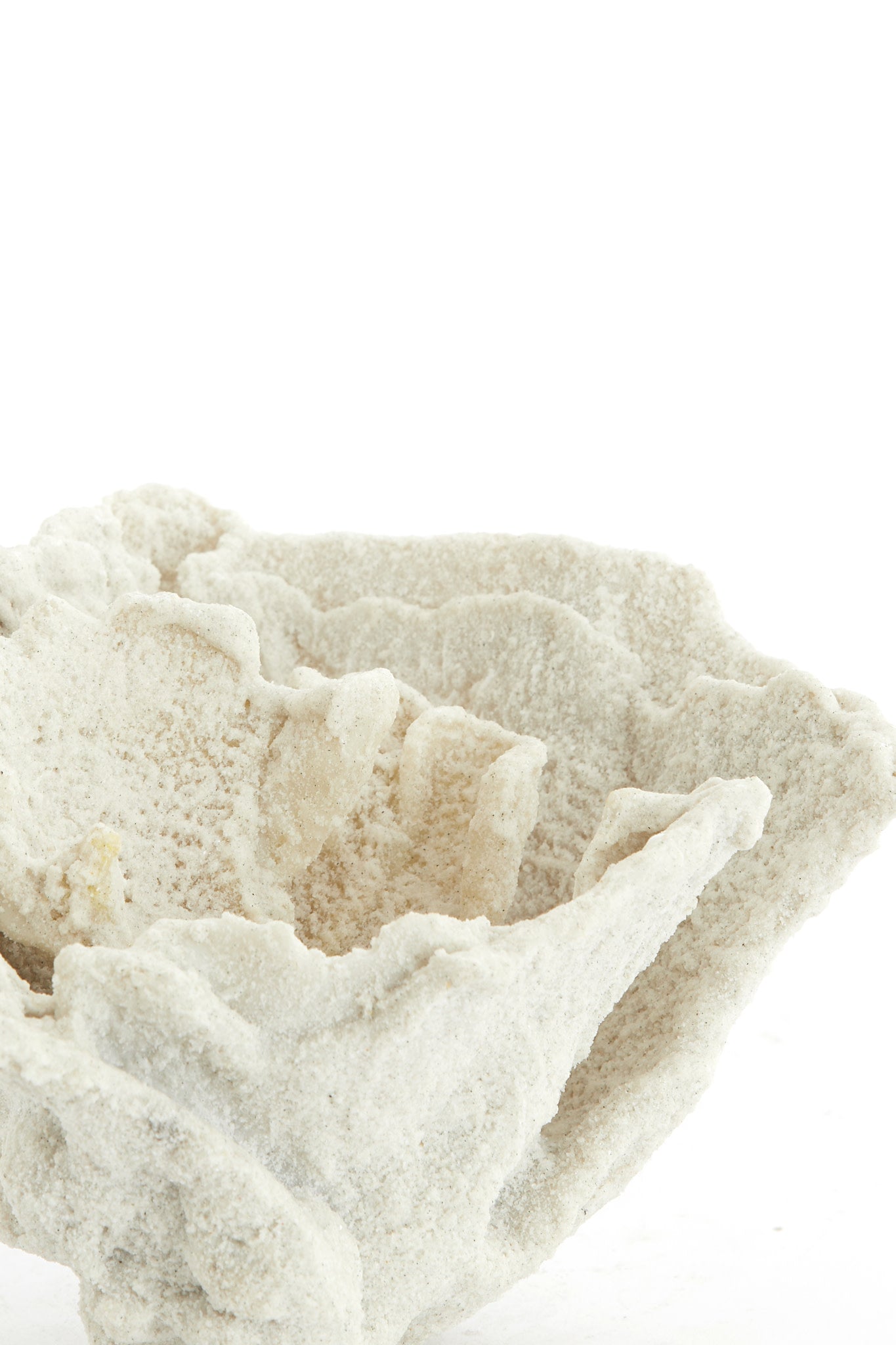Coral Cream Ornament 13cm