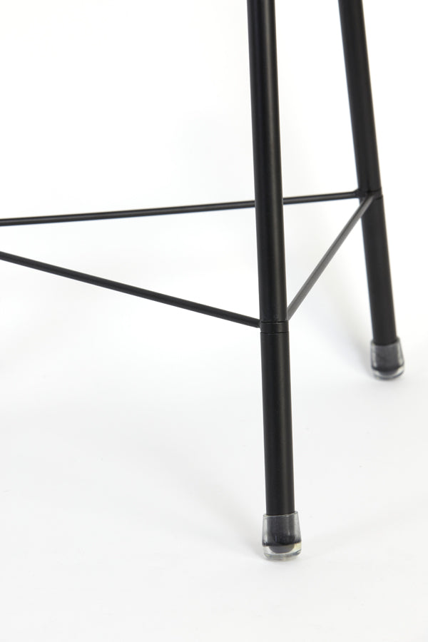 Plumeria Black Metal Tripod Floor Lamp