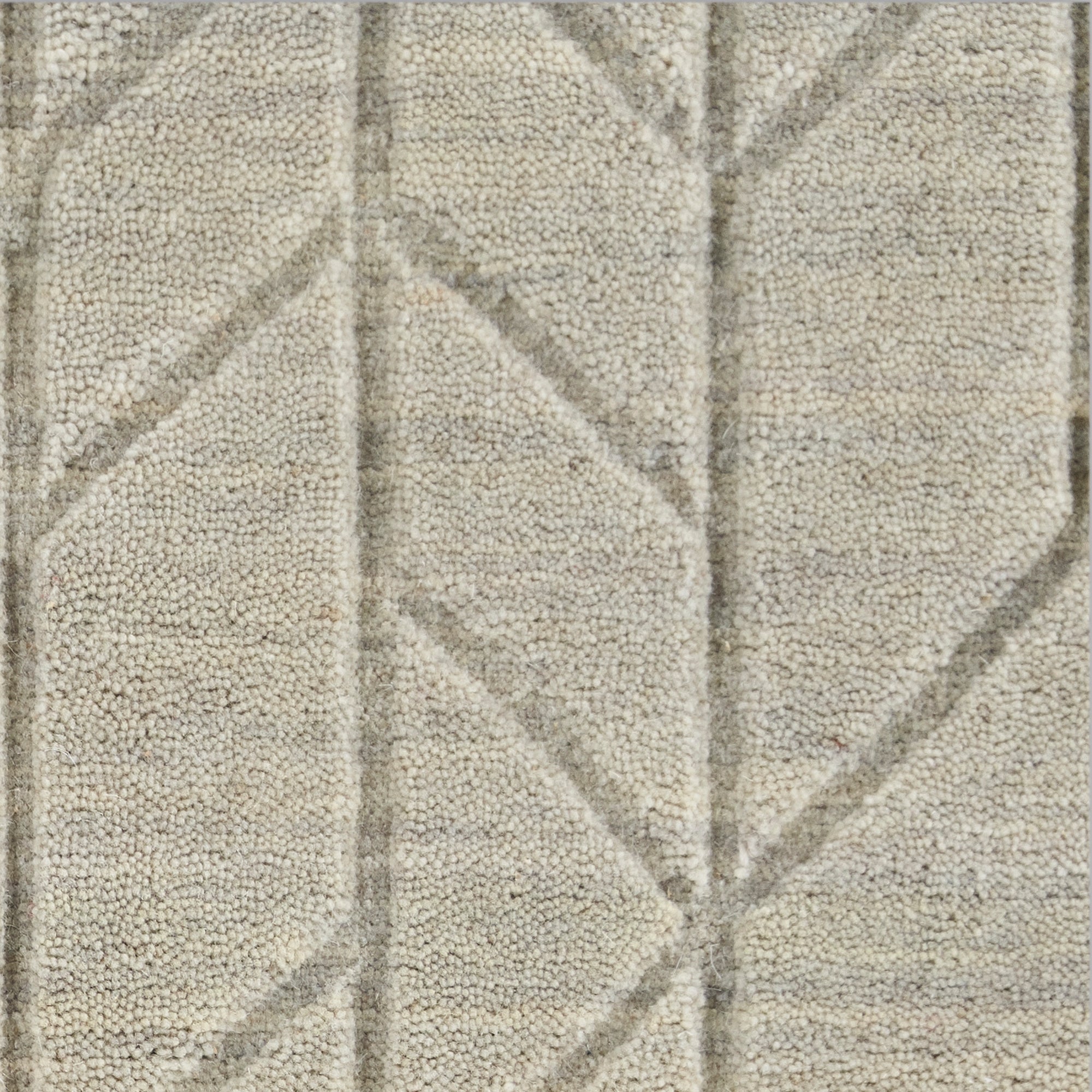Nourison Alessia ALE01 Sage Green Large Rectangle Rug