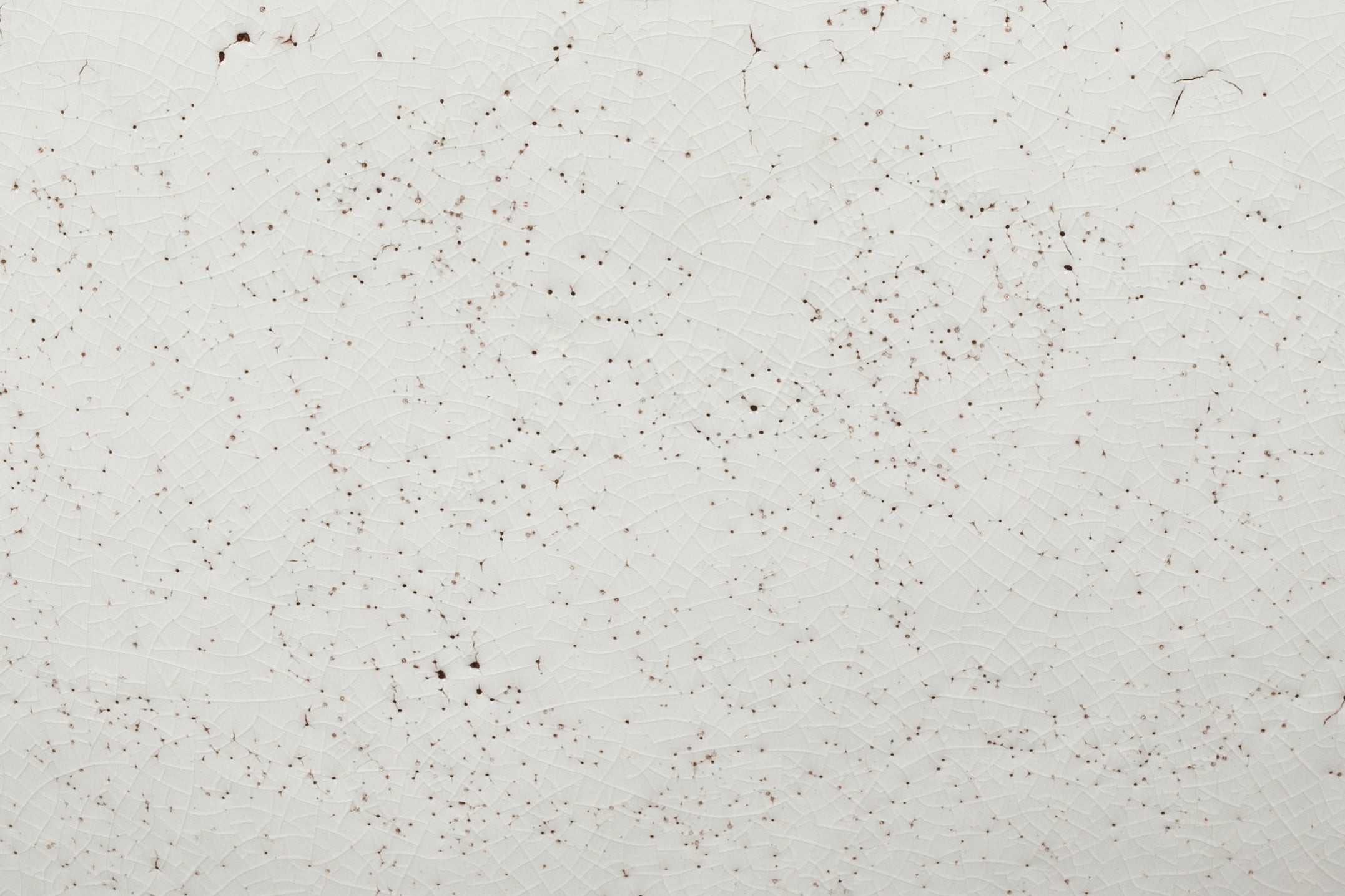 Dutchbone Hailey Gloss White Ceramic Oval Table Lamp