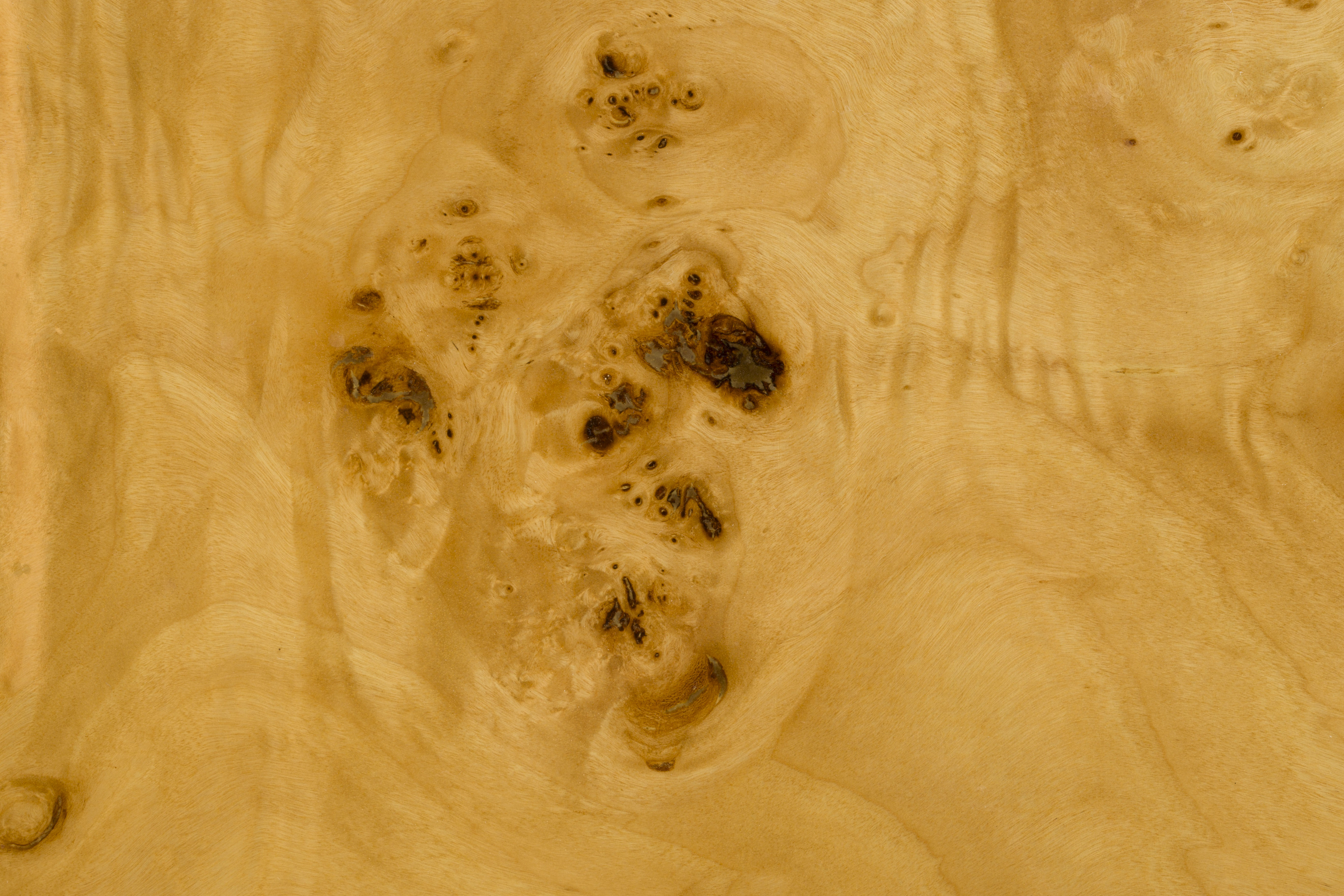 Dutchbone Quinn Natural Burl Wood Square Coffee Table