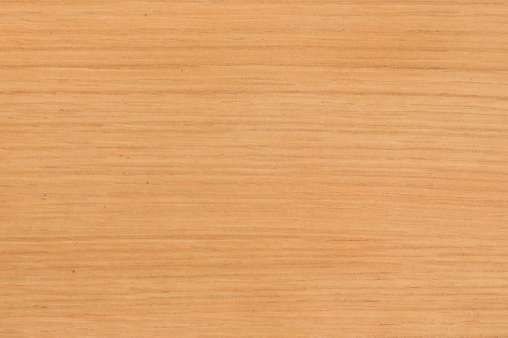 Zuiver Set of 2 Northwood Natural Wood Curved Dining Chair