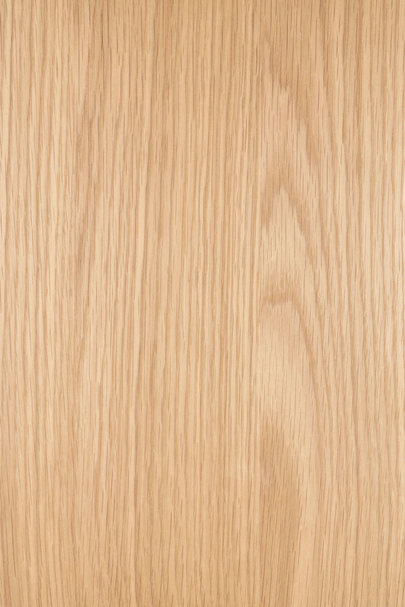Zuiver Storm Natural Ash Wood One Door Cabinet