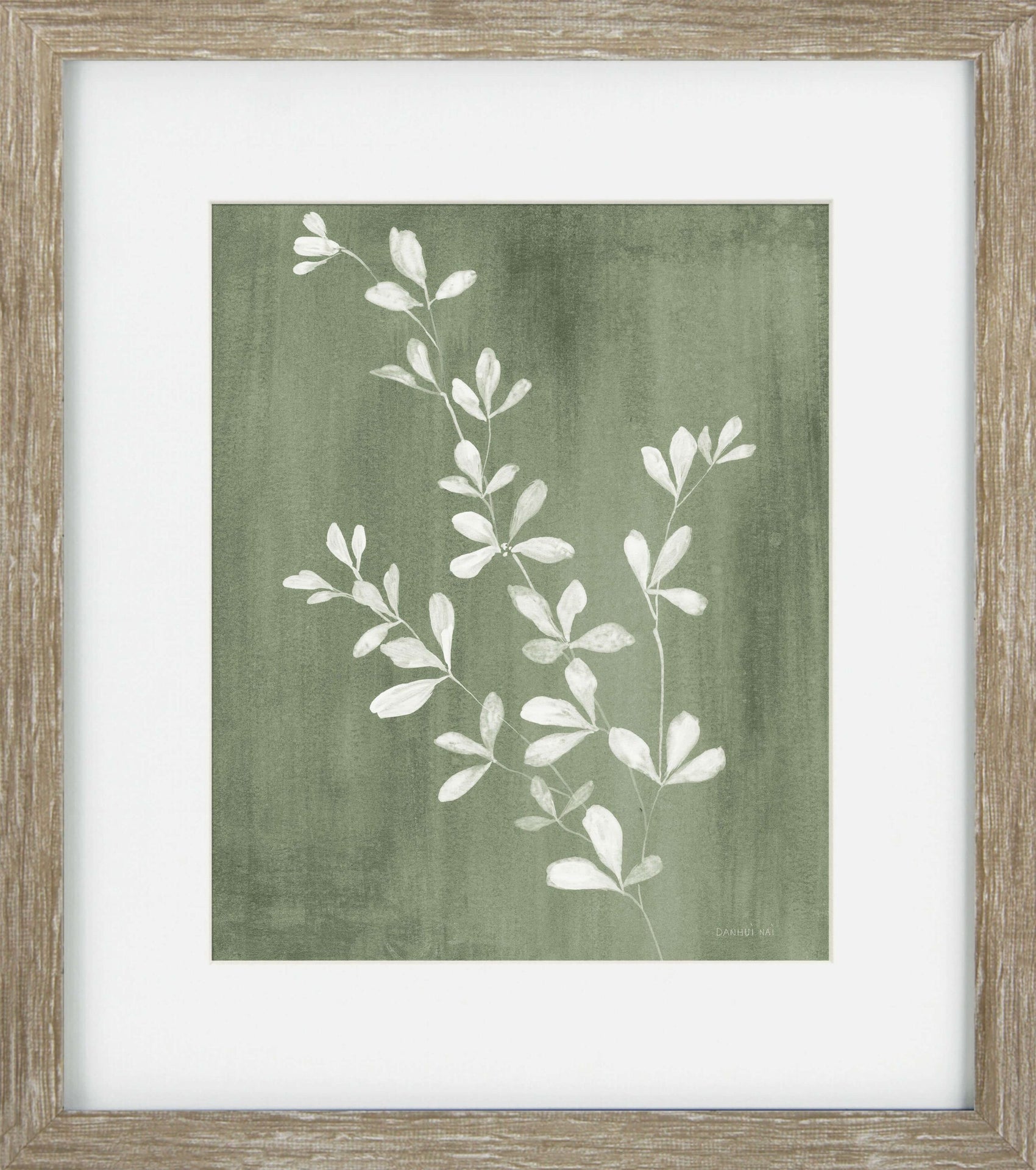 Sage Botanicals III - Framed Wall Art - 34x30cm