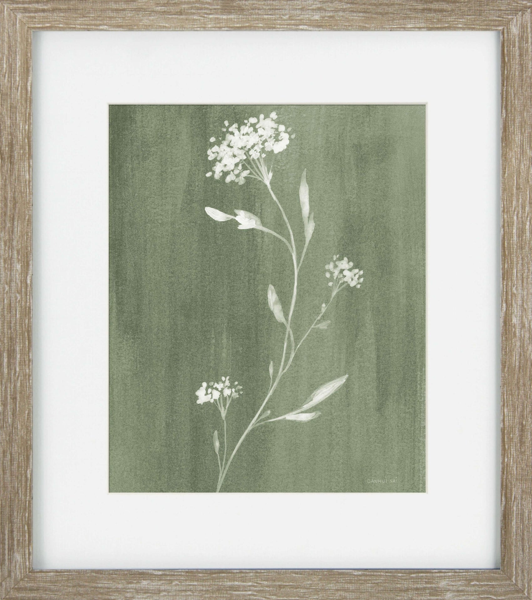 Sage Botanicals IV - Framed Wall Art - 34x30cm