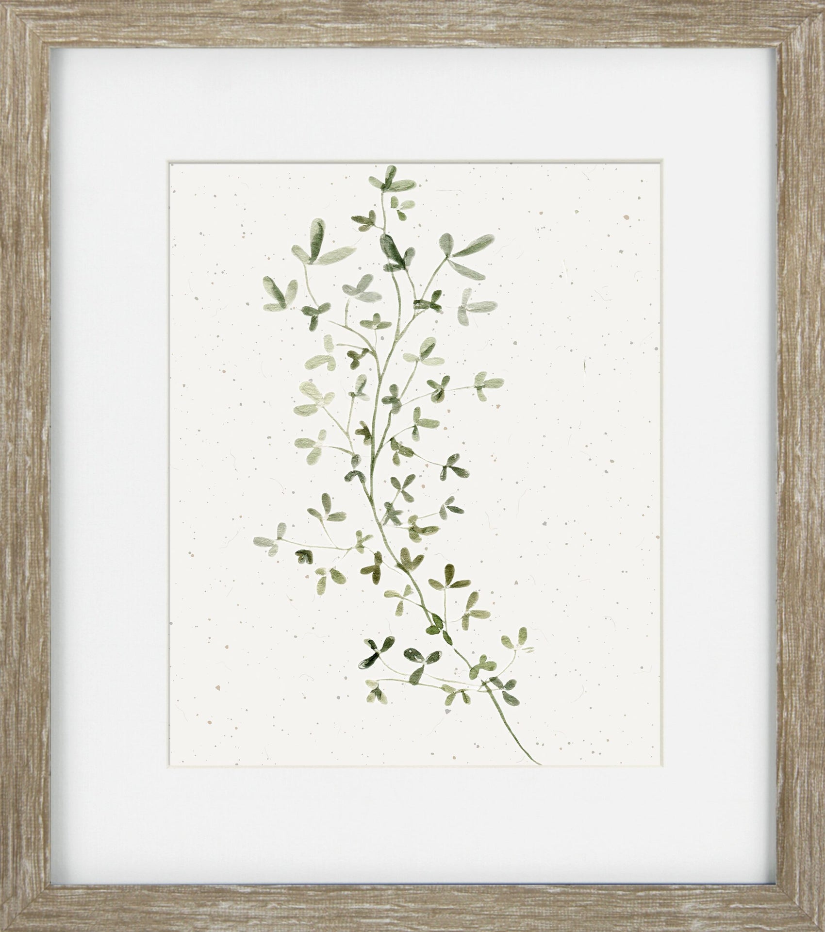 Soft Botanicals III - Framed Wall Art - 34x30cm