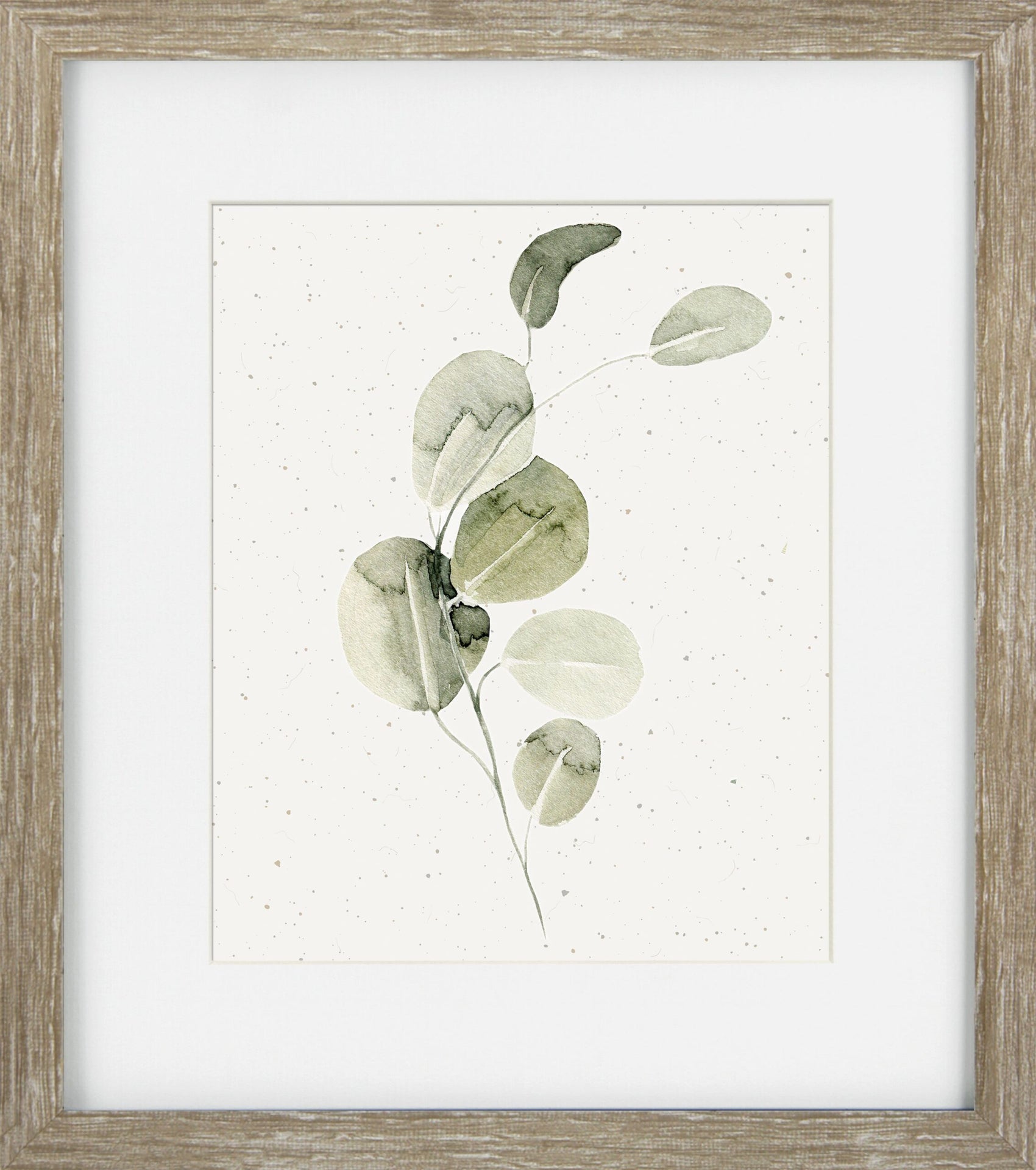 Soft Botanicals IV - Framed Wall Art - 34x30cm