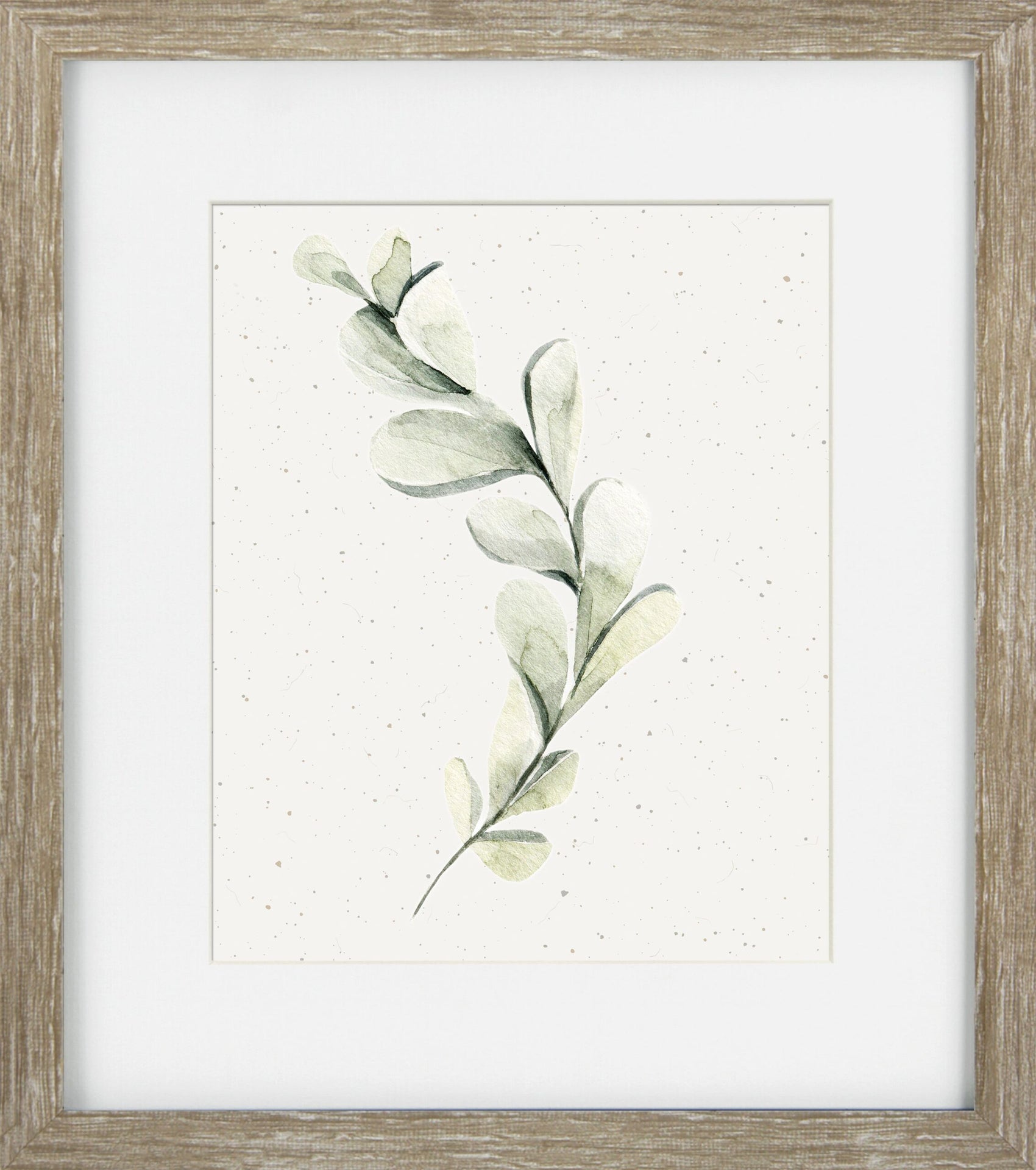 Soft Botanicals V - Framed Wall Art - 34x30cm