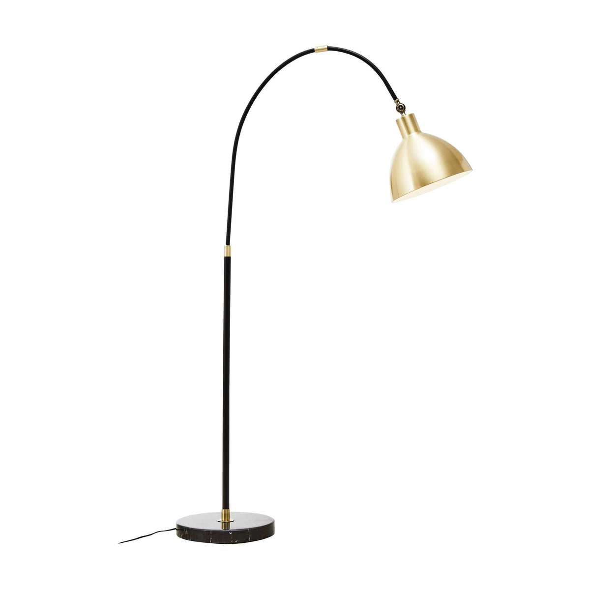 Darwin Gold Finish & Black Metal Floor Lamp