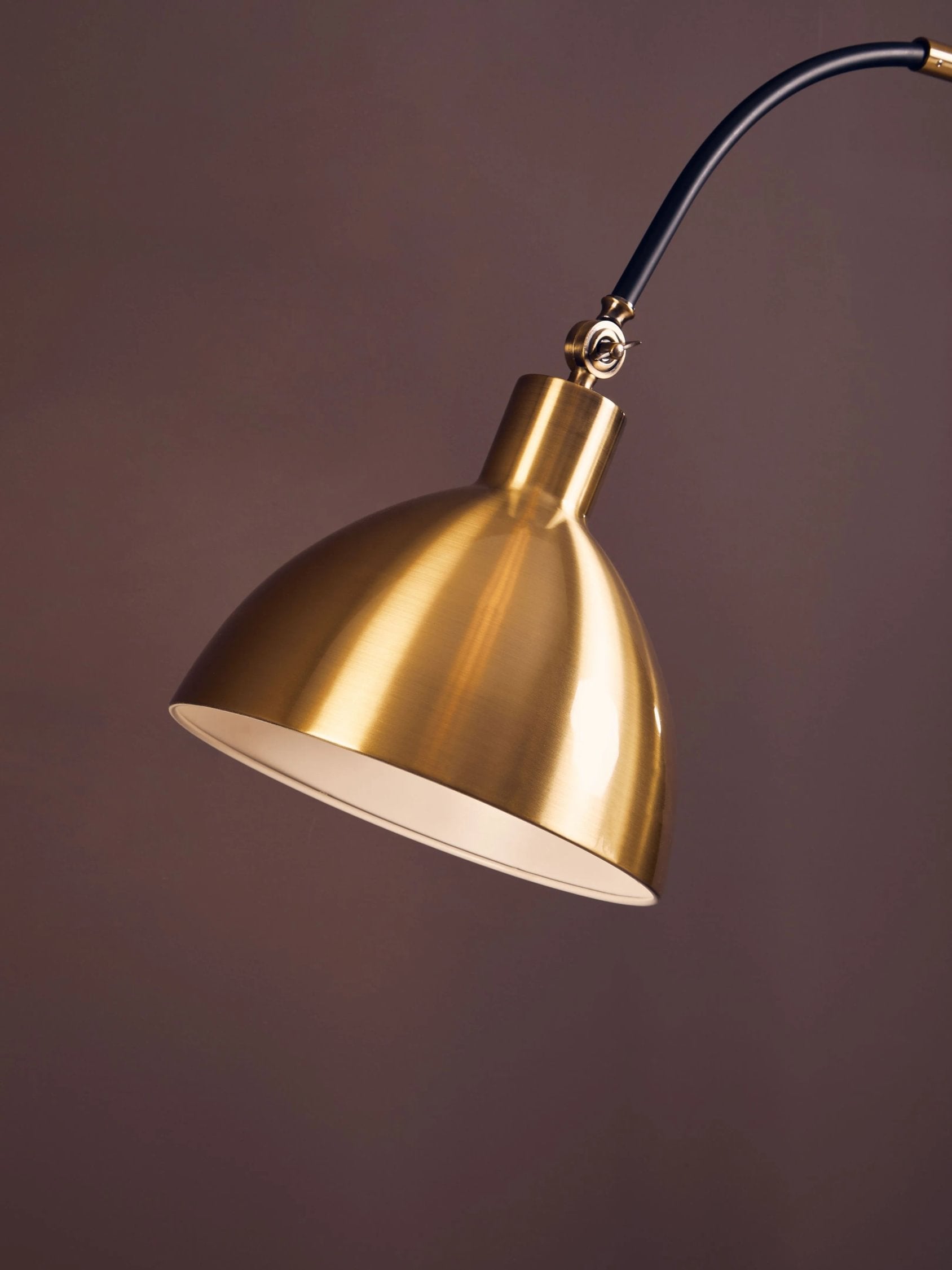 Darwin Gold Finish & Black Metal Floor Lamp
