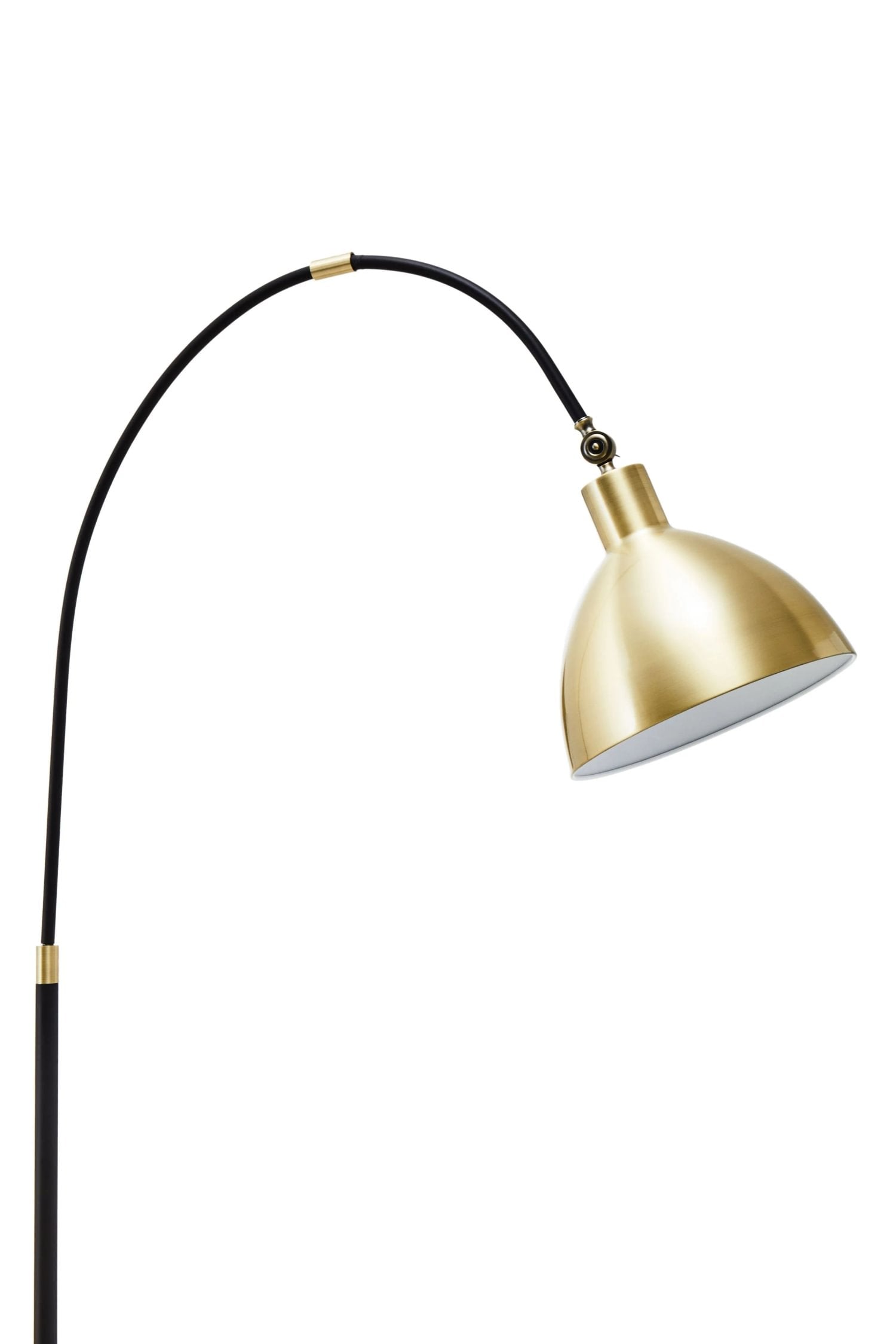 Darwin Gold Finish & Black Metal Floor Lamp