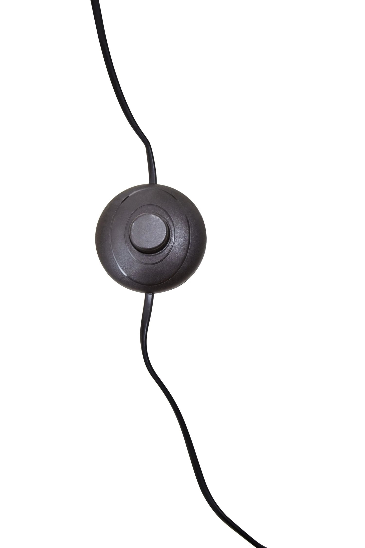 Darwin Gold Finish & Black Metal Floor Lamp