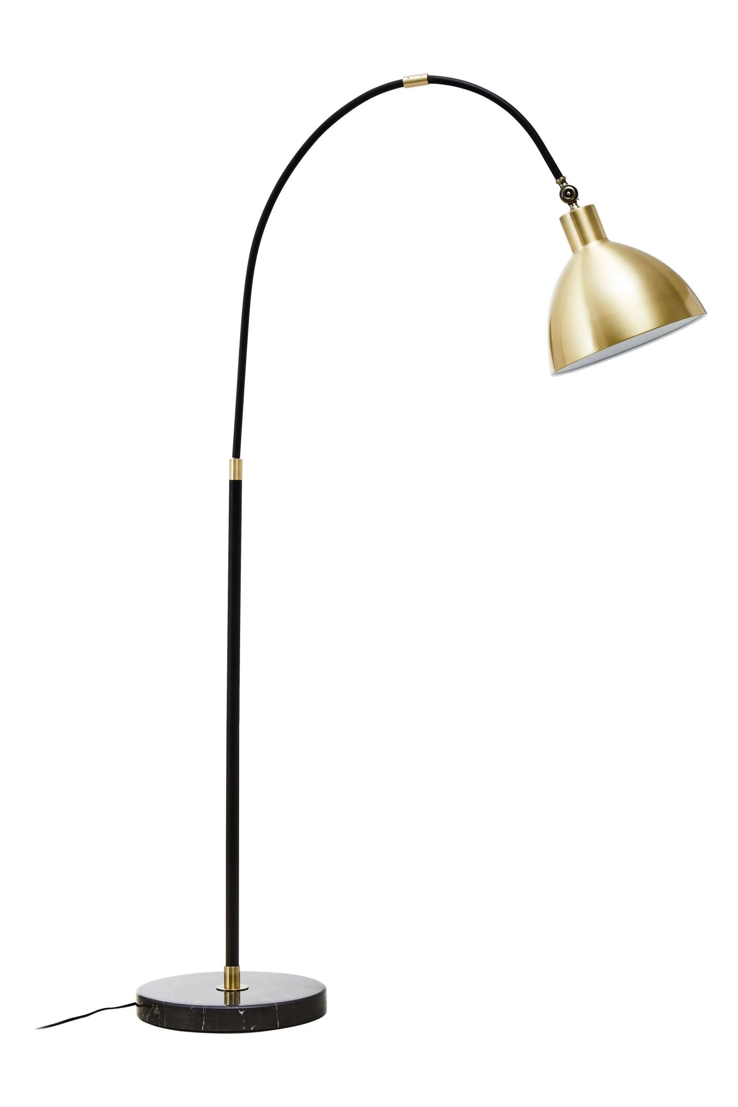 Darwin Gold Finish & Black Metal Floor Lamp