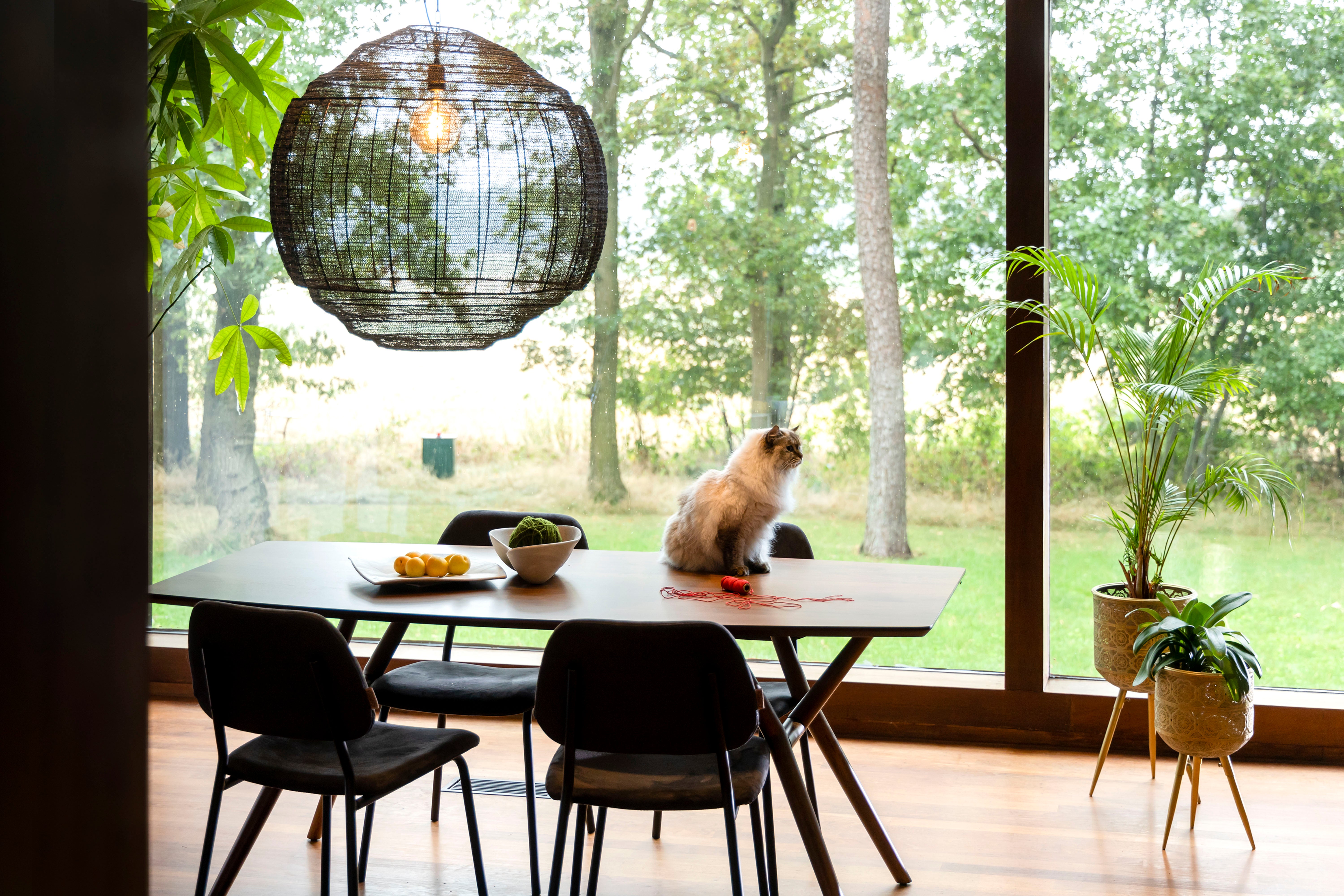 Dutchbone Malaya Walnut Brown Wood Rectangle Dining Table