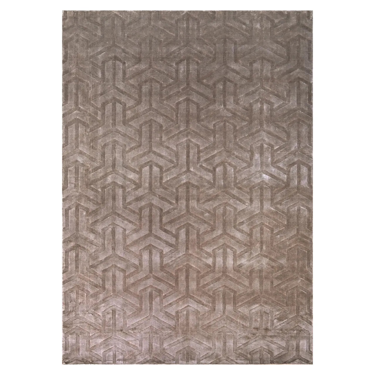 Richmond Interiors Arles Taupe Viscose & Cotton Rug 200x300cm
