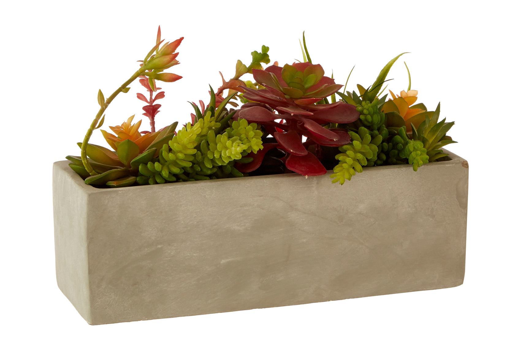 Edan Mixed Artificial Succulent in Cement Rectangle Pot