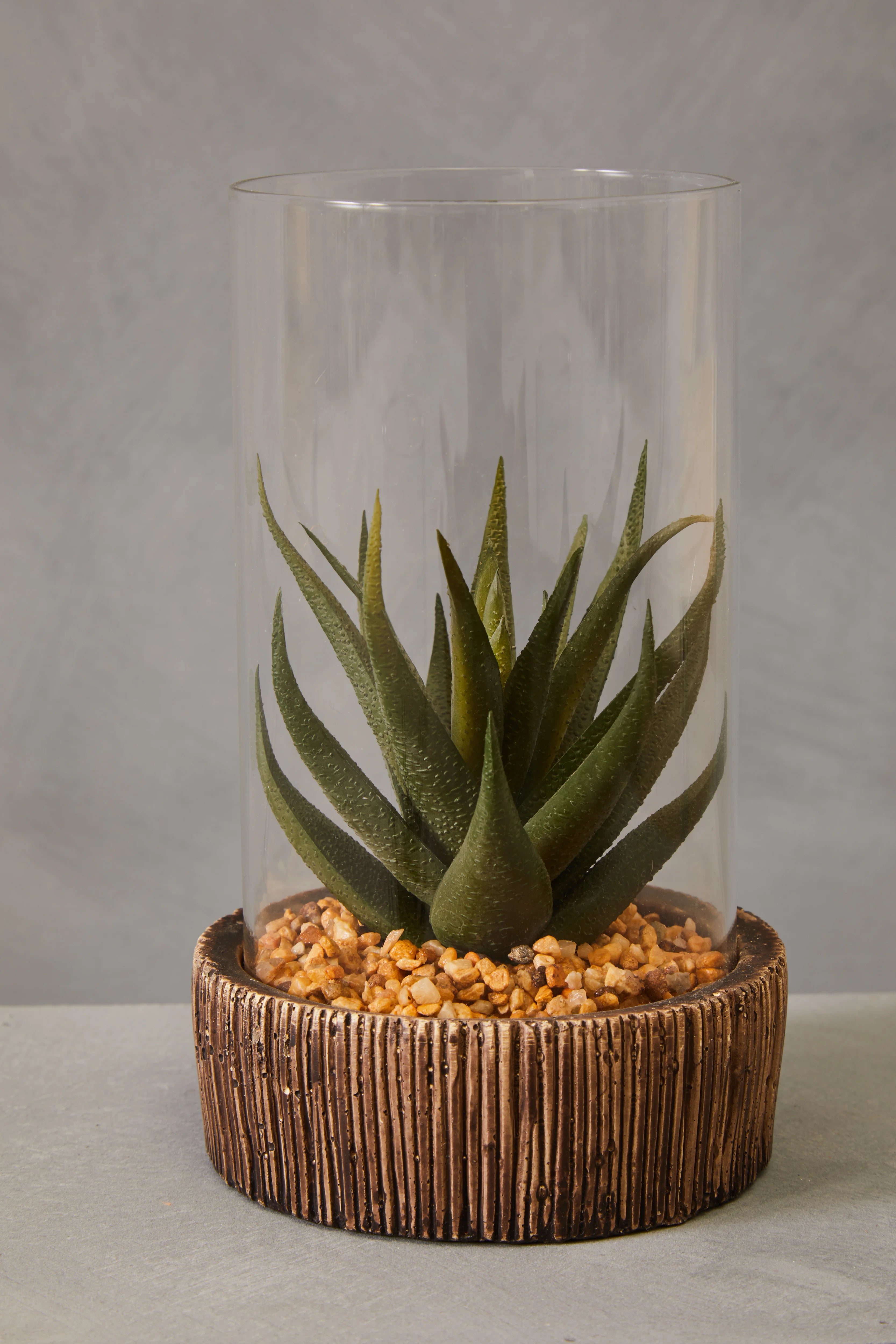 natural life succulent Edan Artificial Succulent Plant in Natural Stone Base & Clear Glass |S