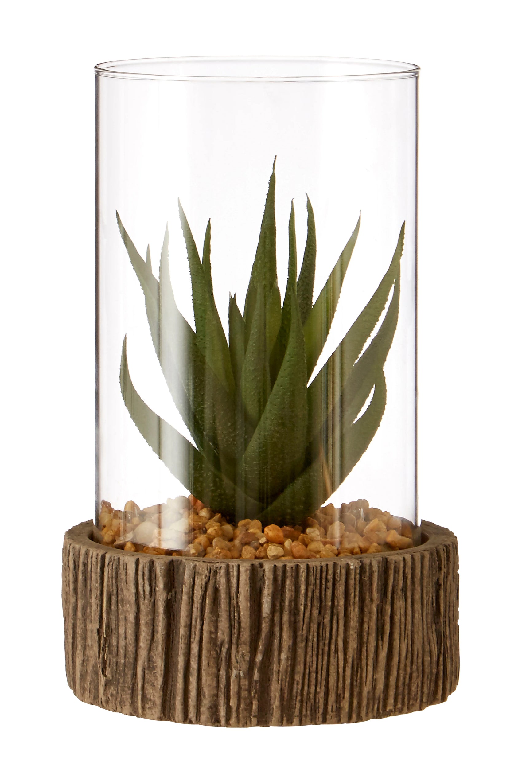 Edan Artificial Succulent Plant in Natural Stone Base & Clear Glass |Small