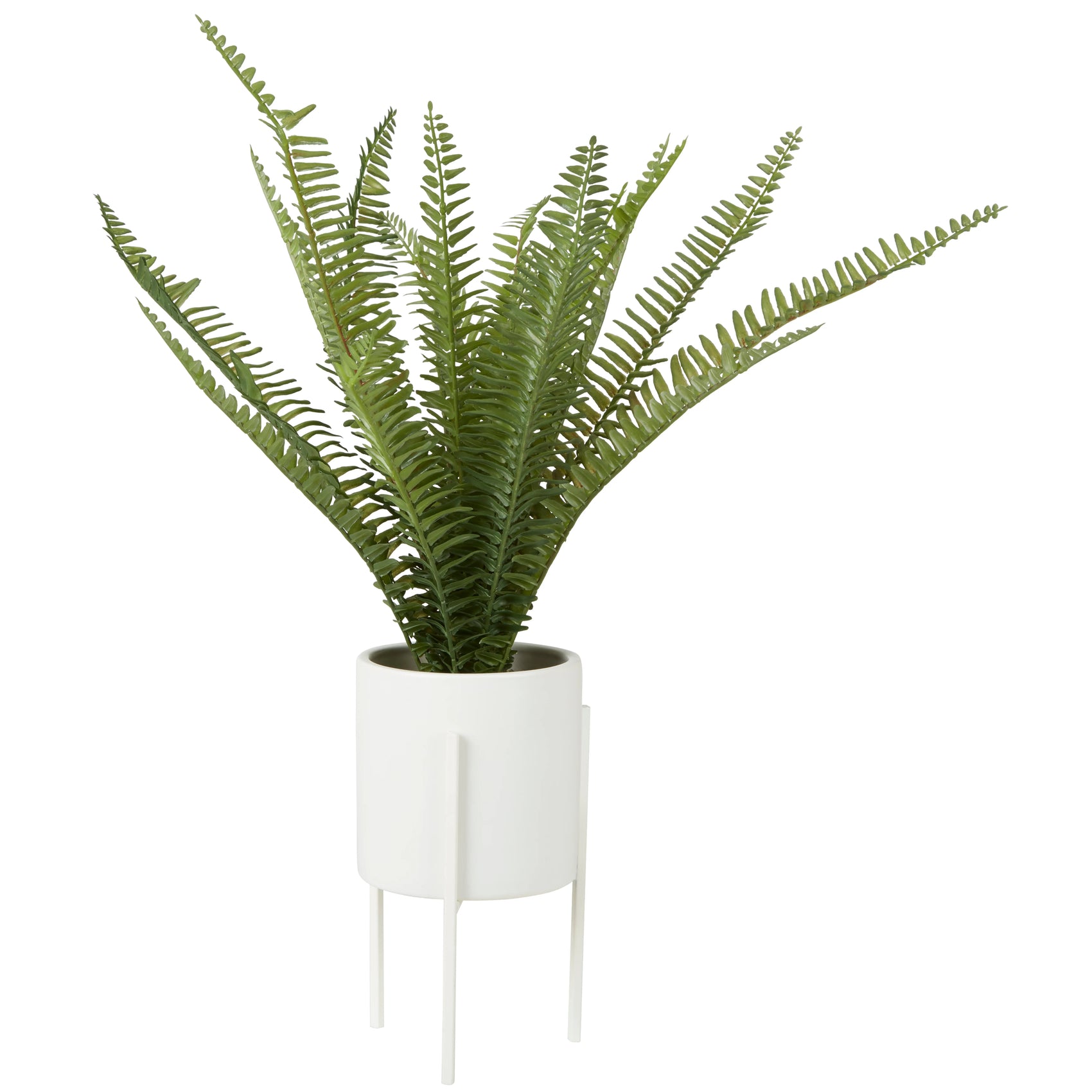 Edan Artificial Fern Plant in White Ceramic Standing Planter