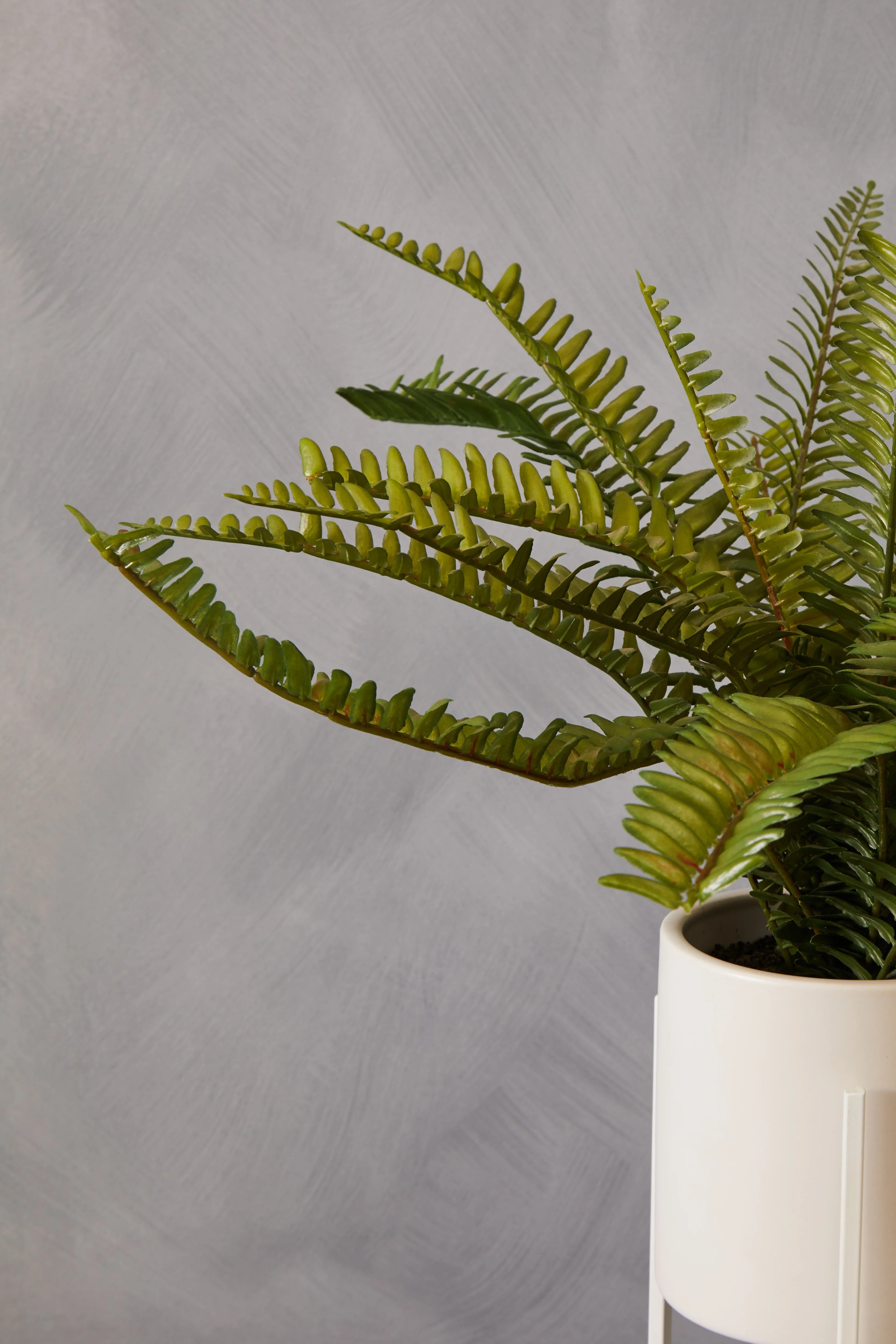 artificial fern plant in pot Edan Artificial Fern Plant in White Ceramic Standing Planter