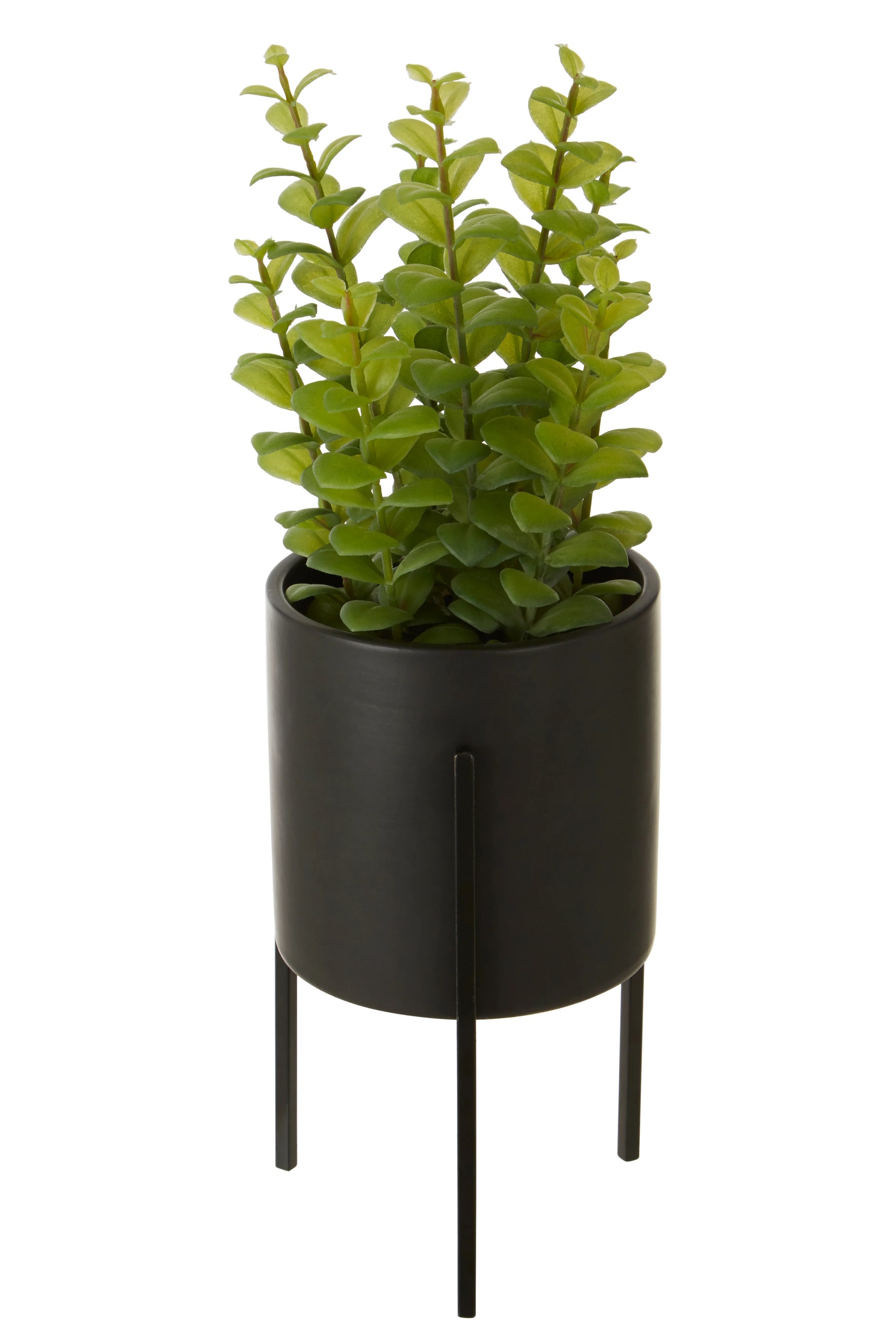 Edan Artificial Thyme Plant in Black Standing Planter