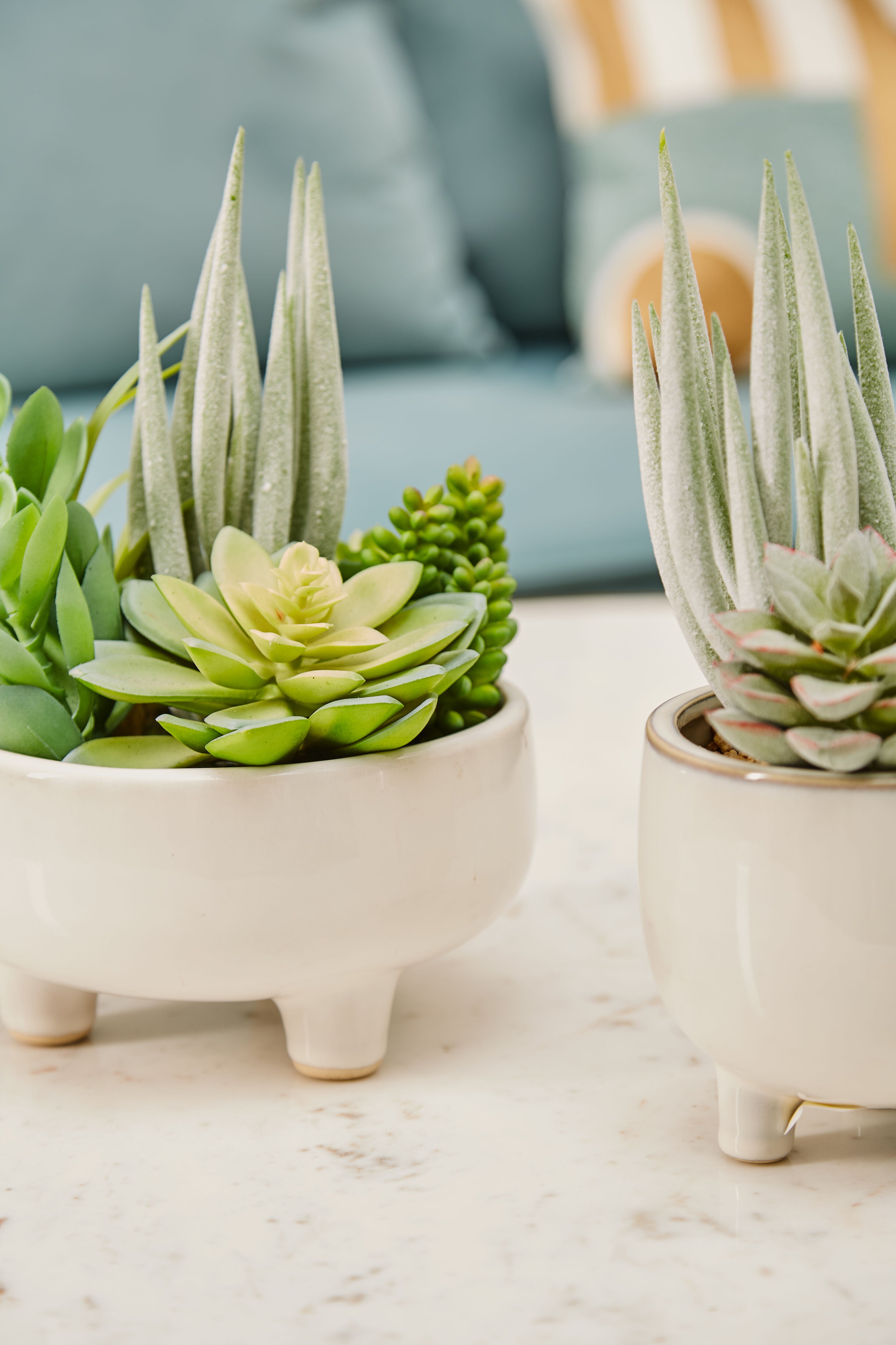 large artificial succulents in pots Edan Mixed Artificial Succulents In Large White Ceramic Pot