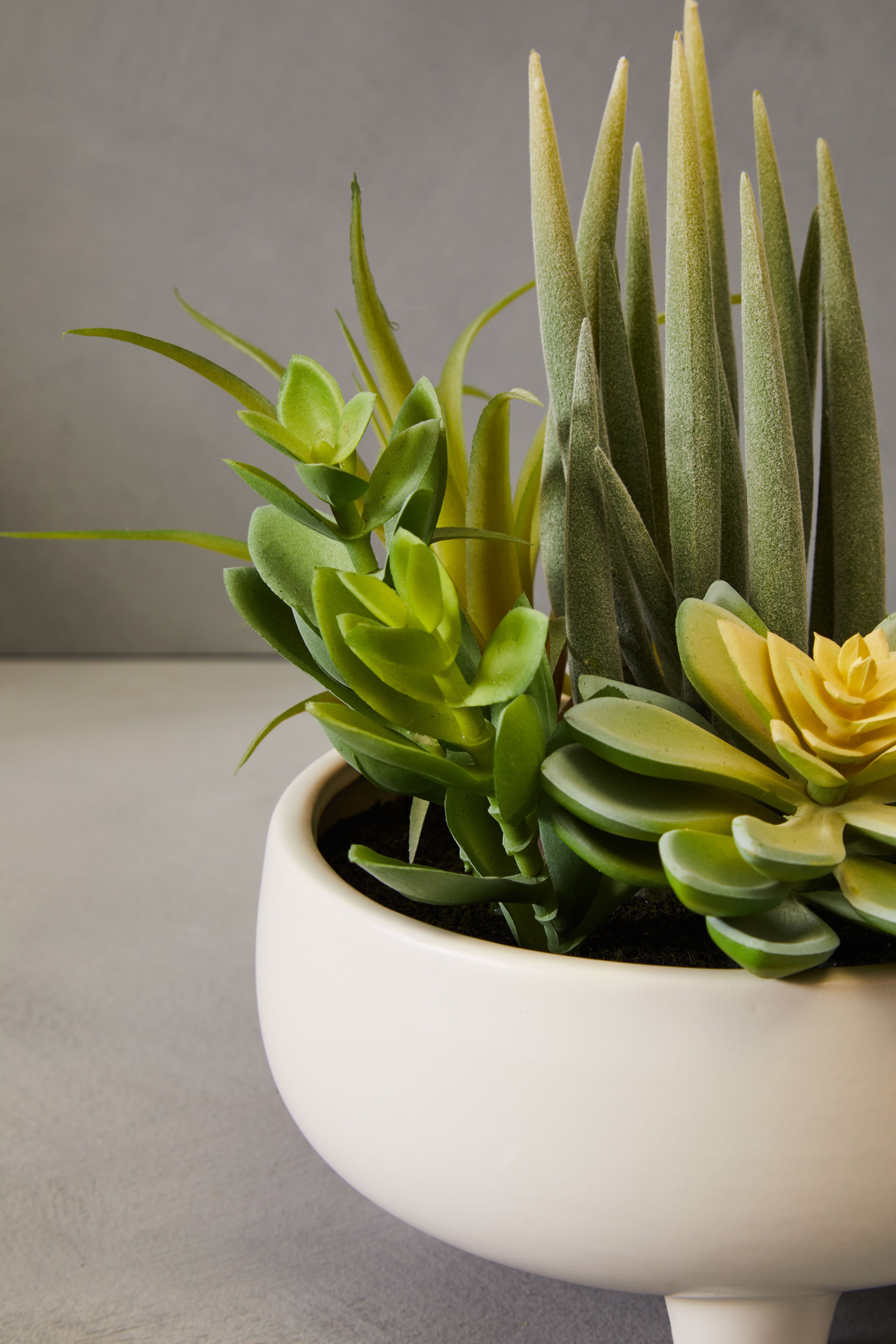 artificial succulents in white pots Edan Mixed Artificial Succulents In Large White Ceramic Pot
