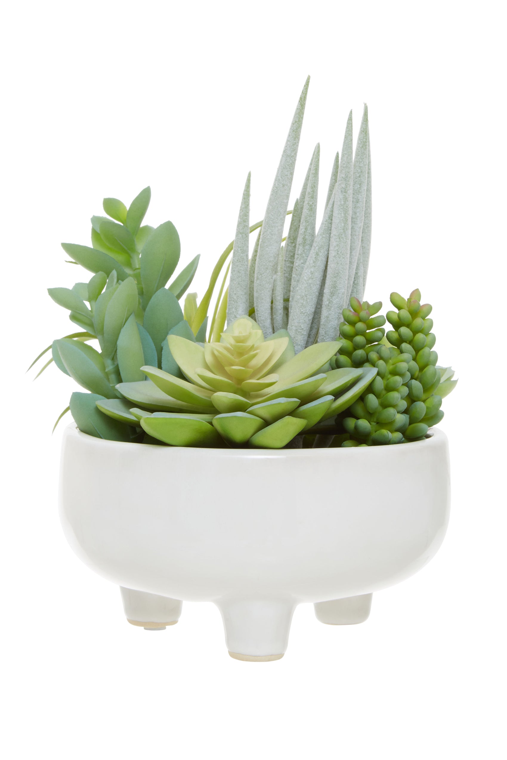 Edan Mixed Artificial Succulents In Large White Ceramic Pot