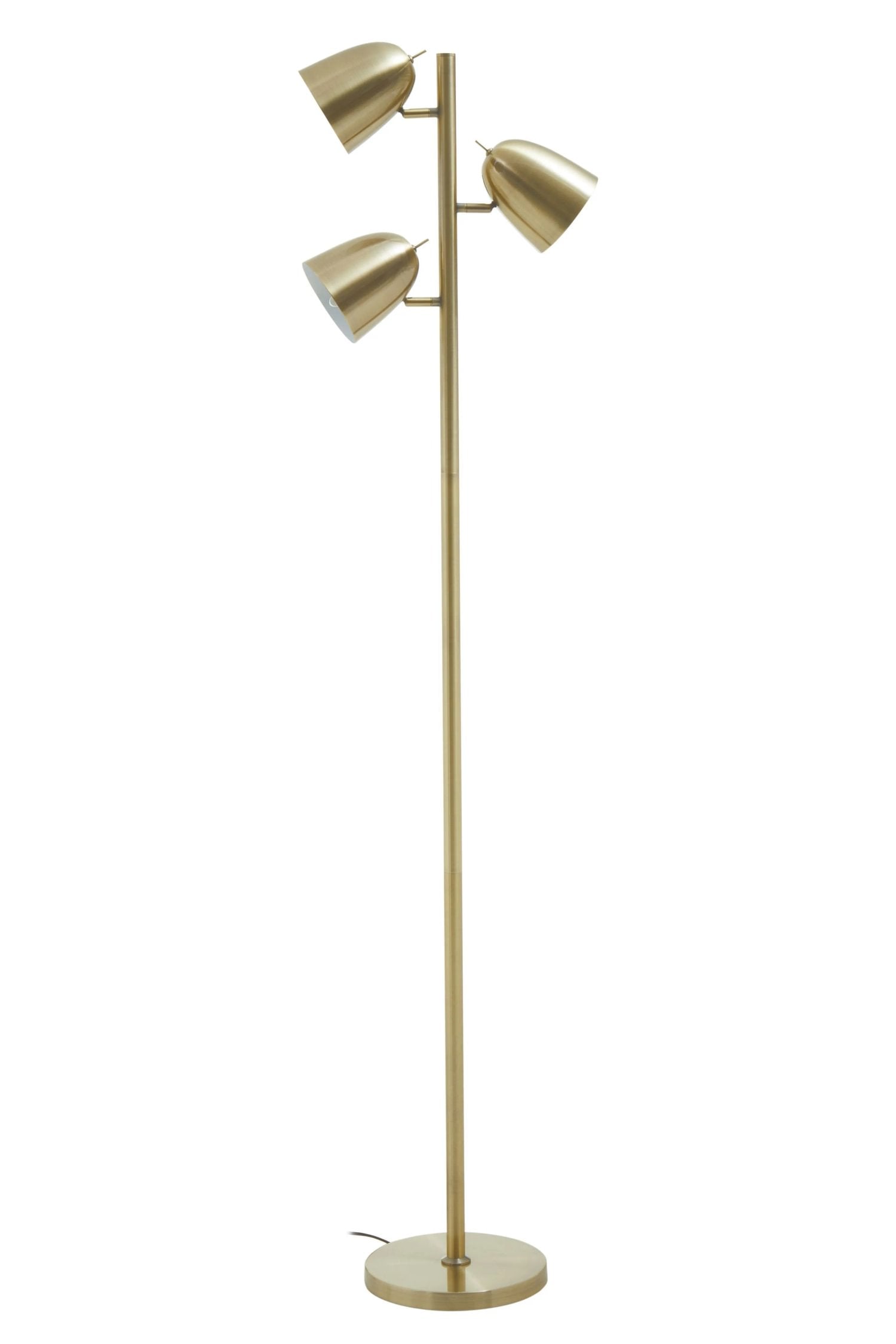 Darwin Brass Finish Floor Lamp