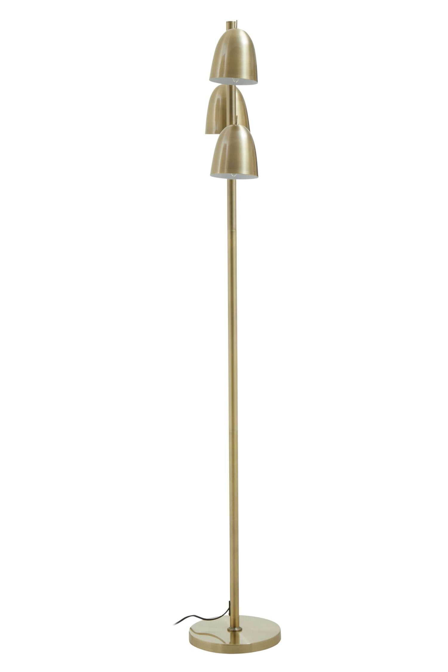 Darwin Brass Finish Floor Lamp