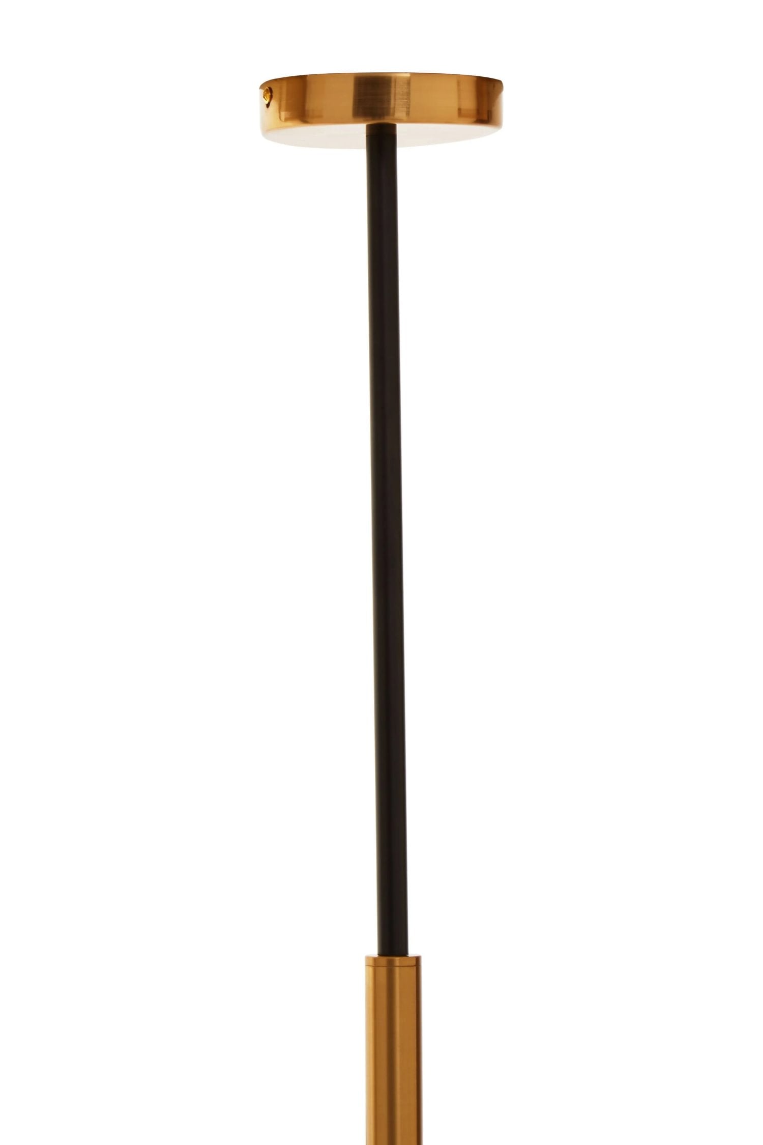 Vector Gold Finish 12 Bulb Pendant Light