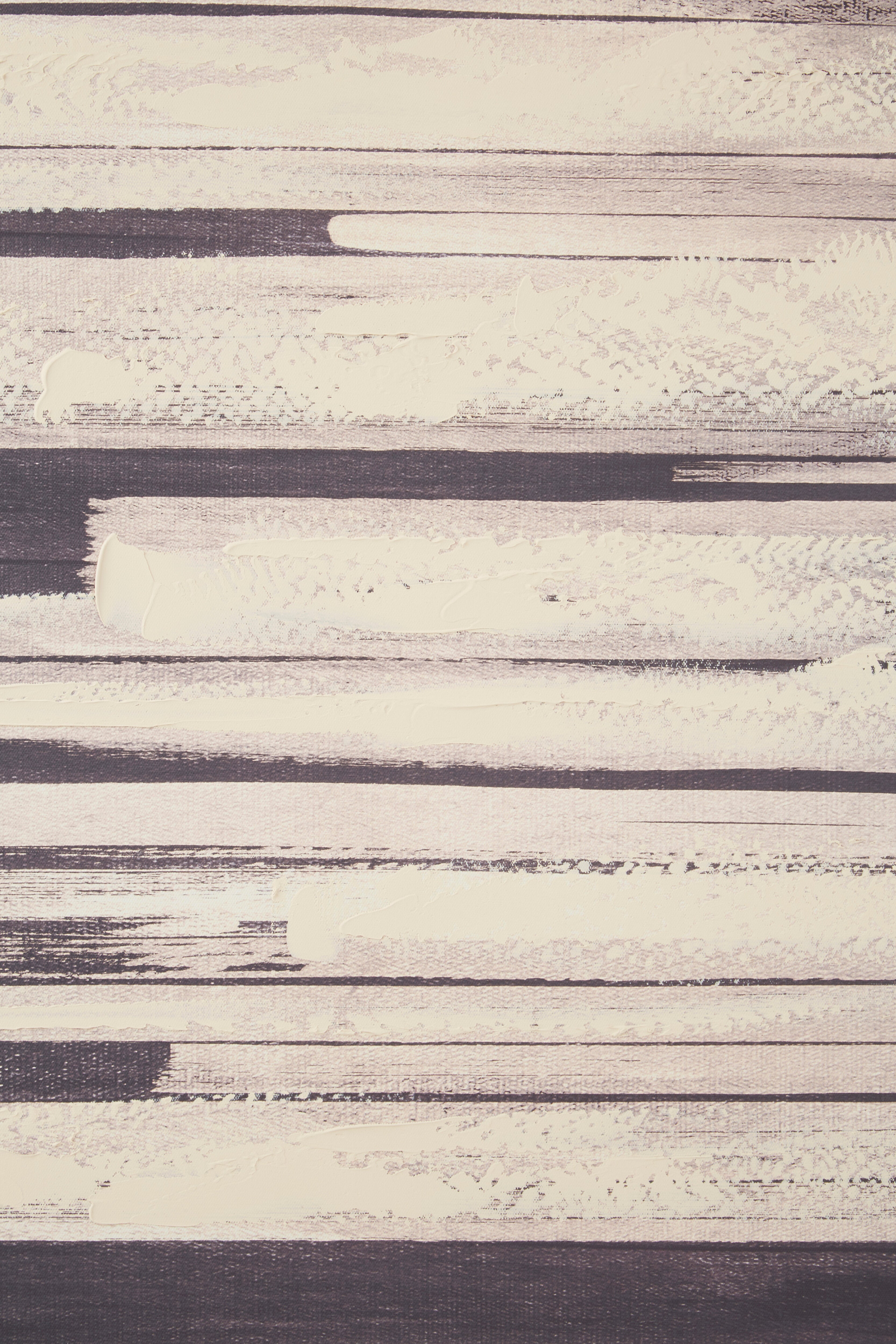 Noah Black Decorative Canvas Wall Art