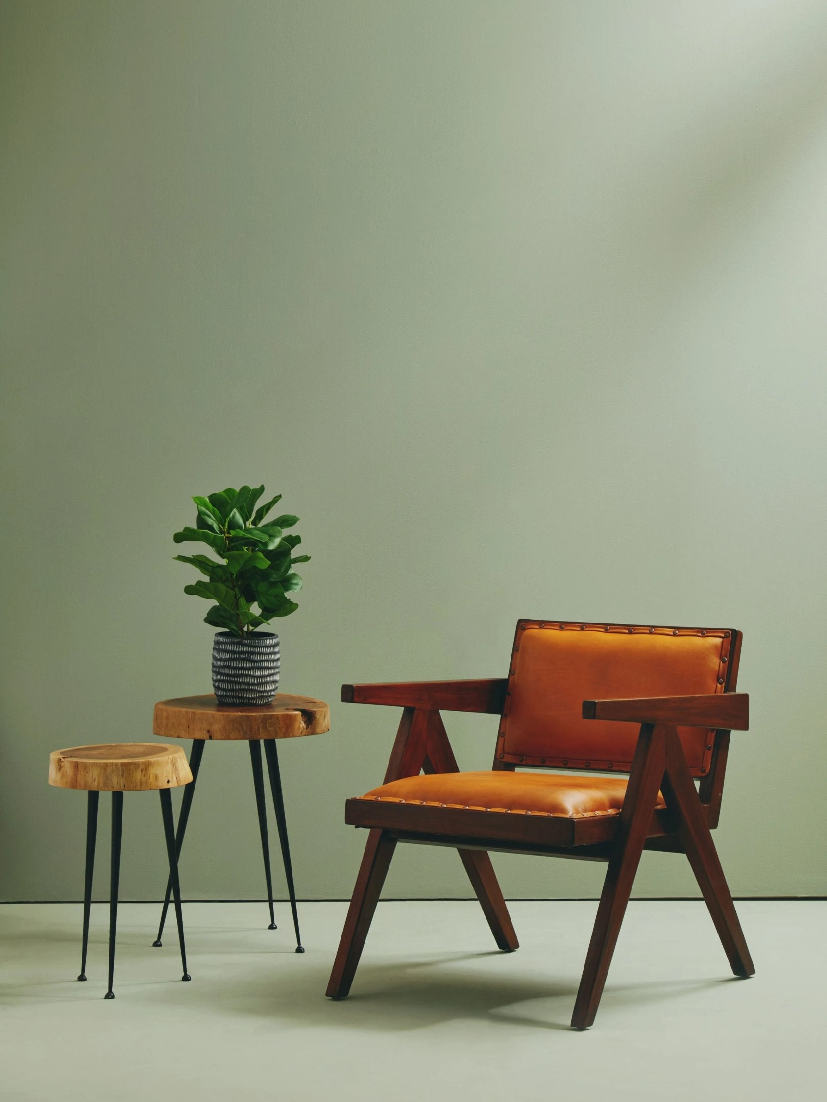 Kalahari Tan Leather Dining Chair