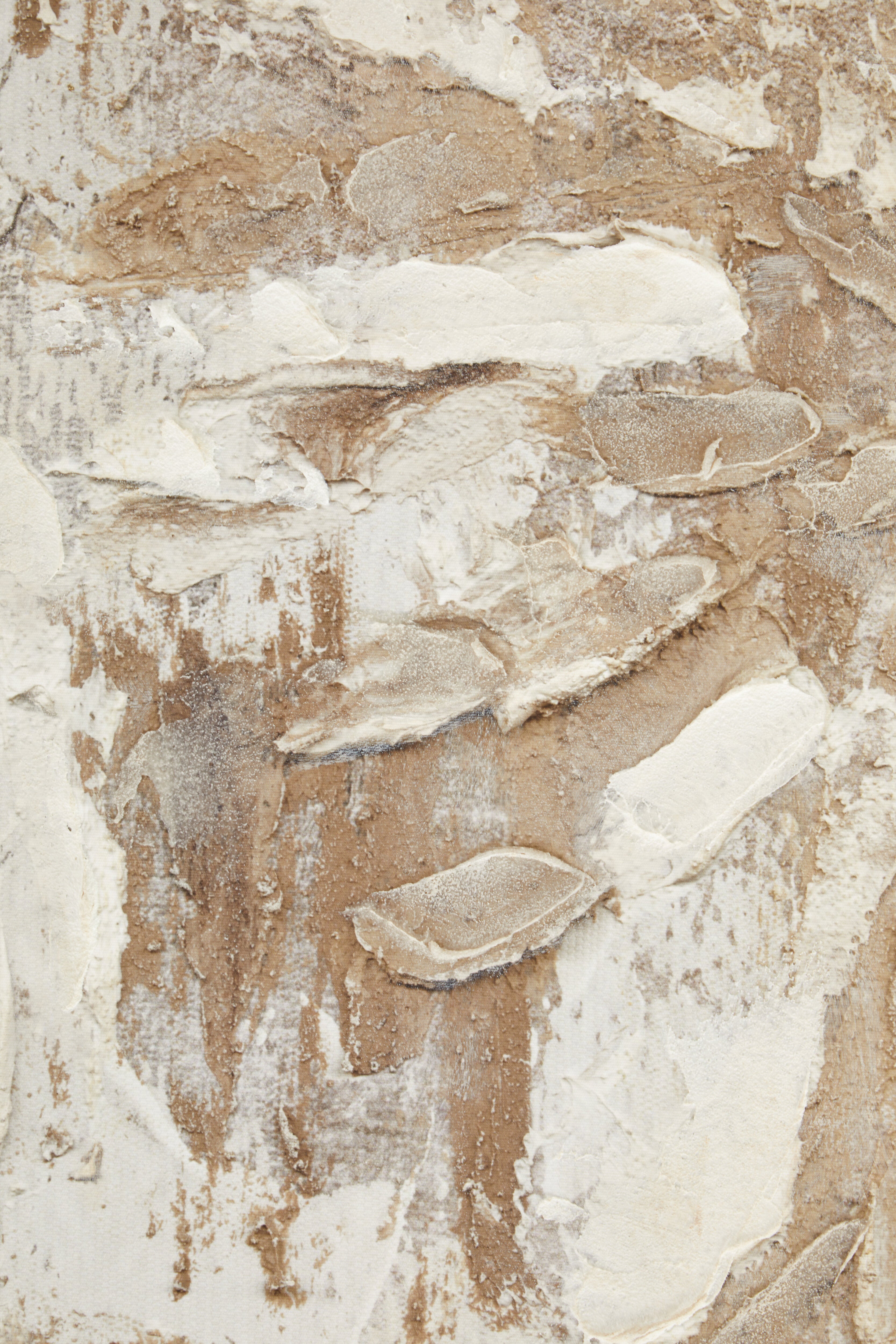 Set Of 2 Noah Earthy Tone Textured Wall Art