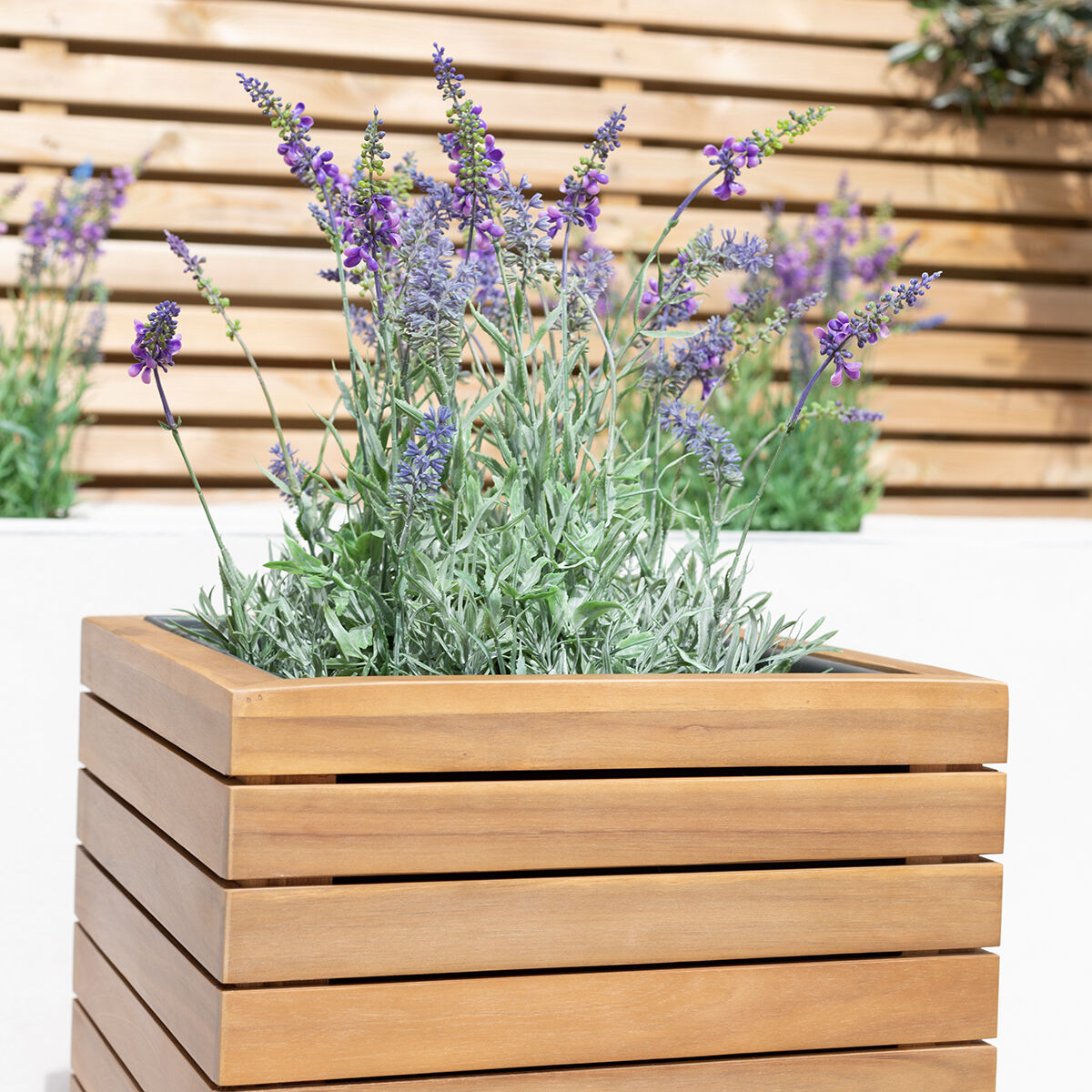 New Bali Medium Planter - Acacia Wood