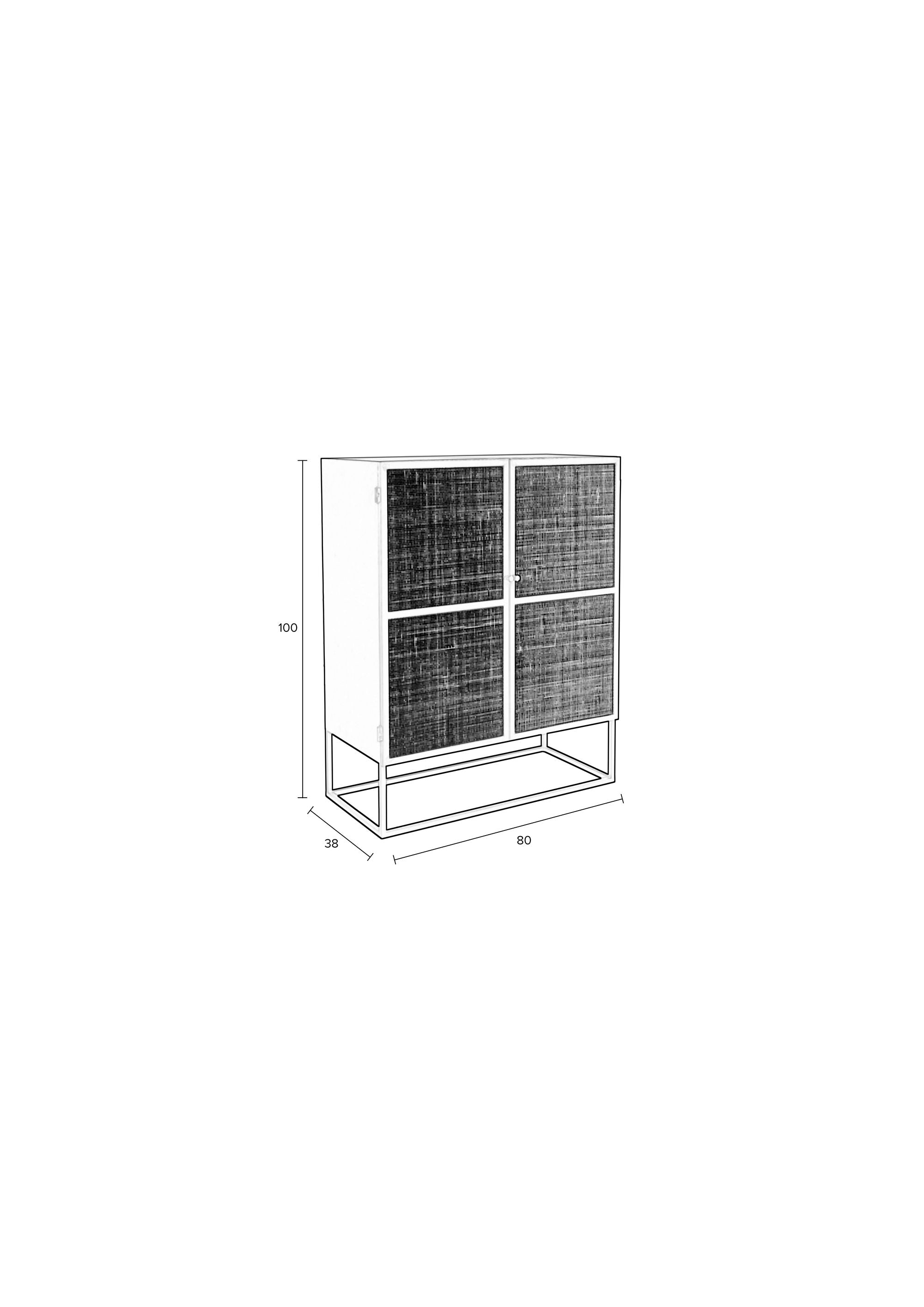 Guuji Black Wood & Natural Rattan Low Cabinet | 2 Doors
