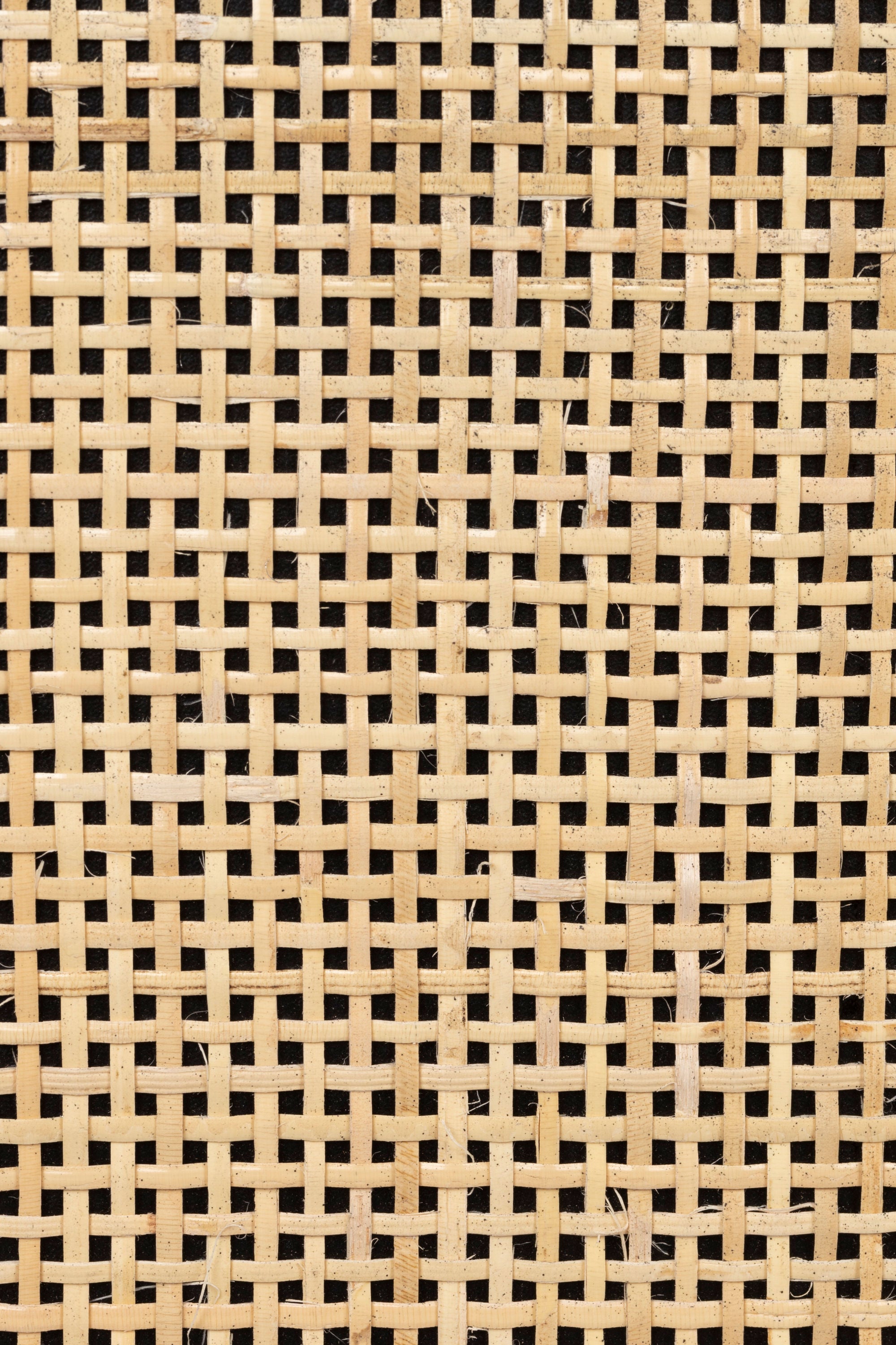 Guuji Black Wood & Natural Rattan High Cabinet | 2 Doors