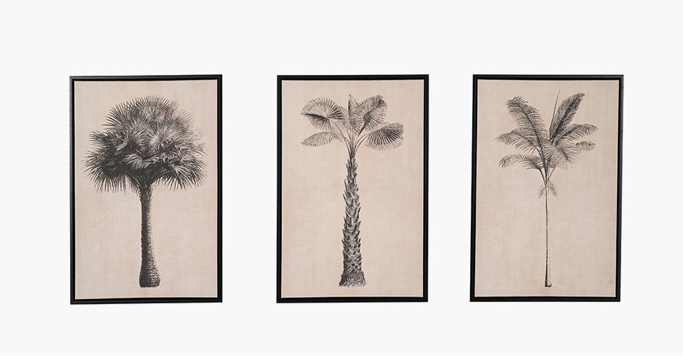 Set of 3 Natural & Black Palm Tree Canvas with Black Wood Frames
