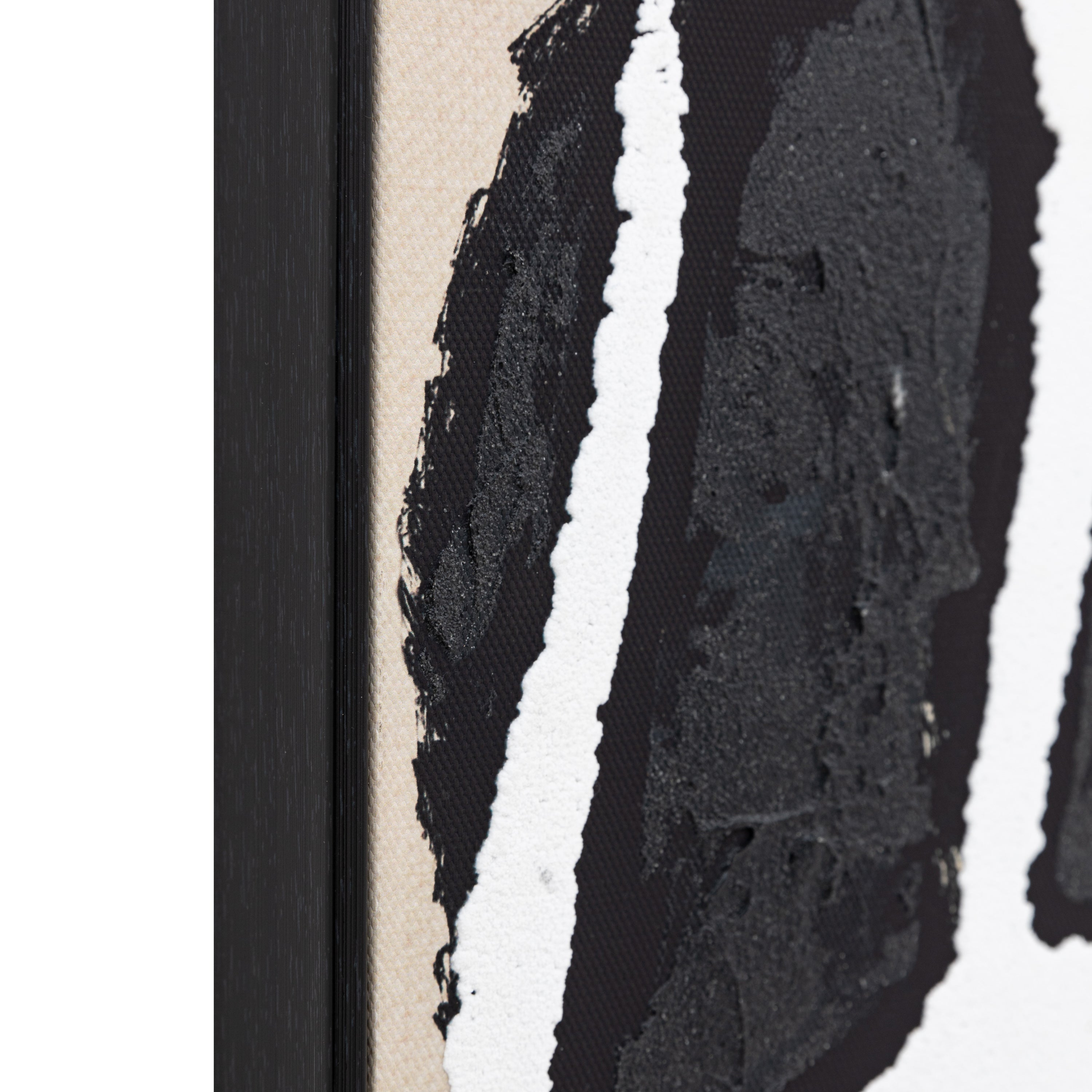 Set of 2 Capture Abstract Modern Framed Canvas Wall Art