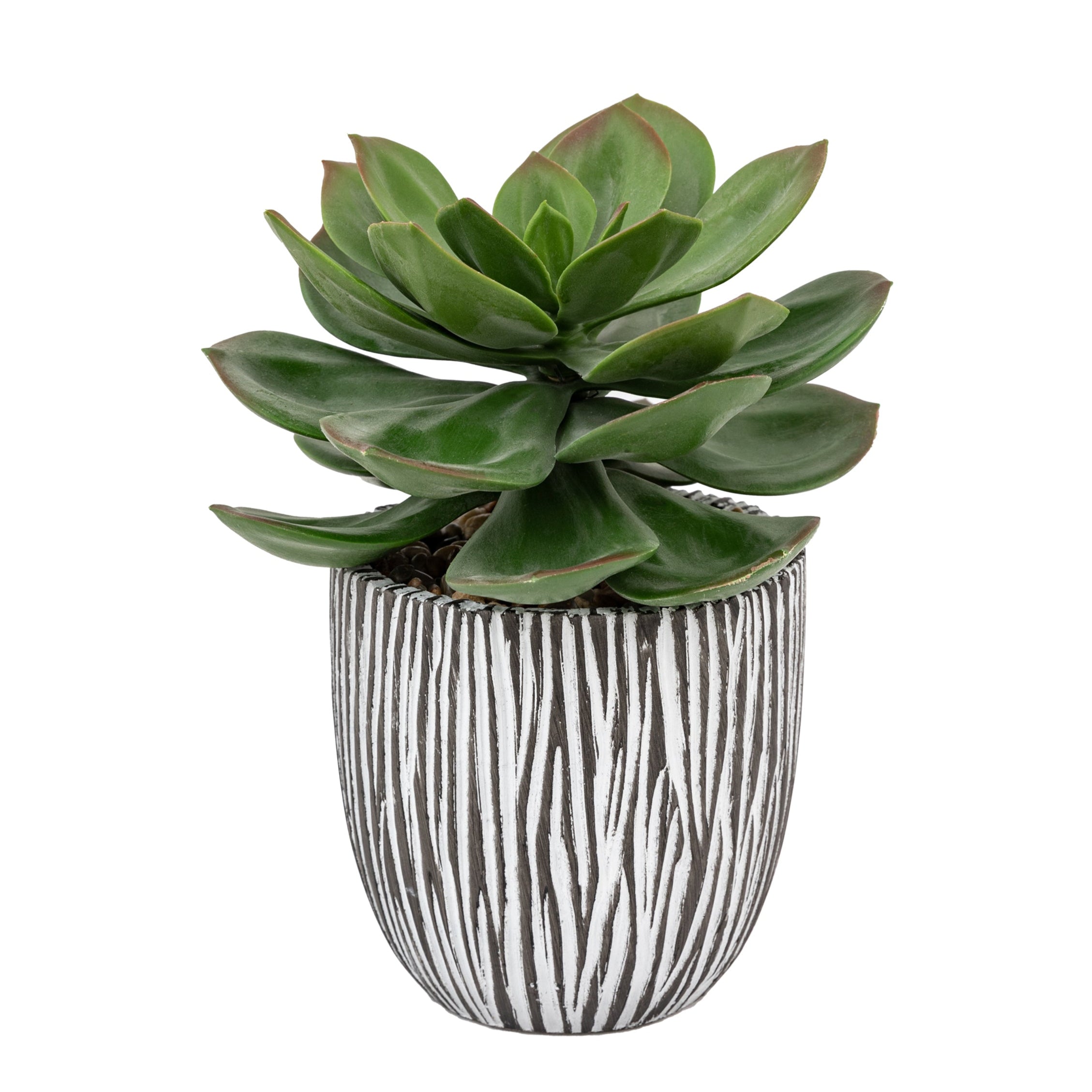 Potted Artificial Succulent in Ribbed Black Ceramic Pot