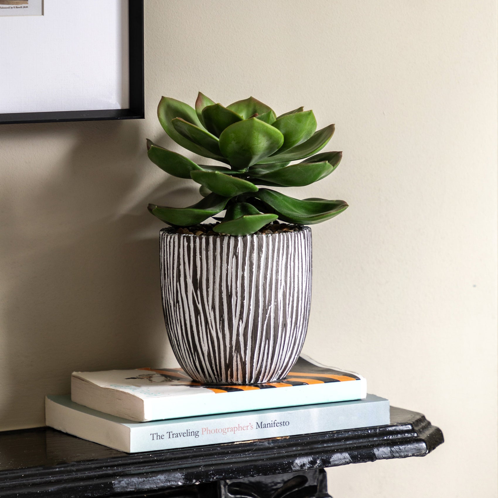Alderridge Potted Artificial Succulent in Ribbed Black Ceramic Pot