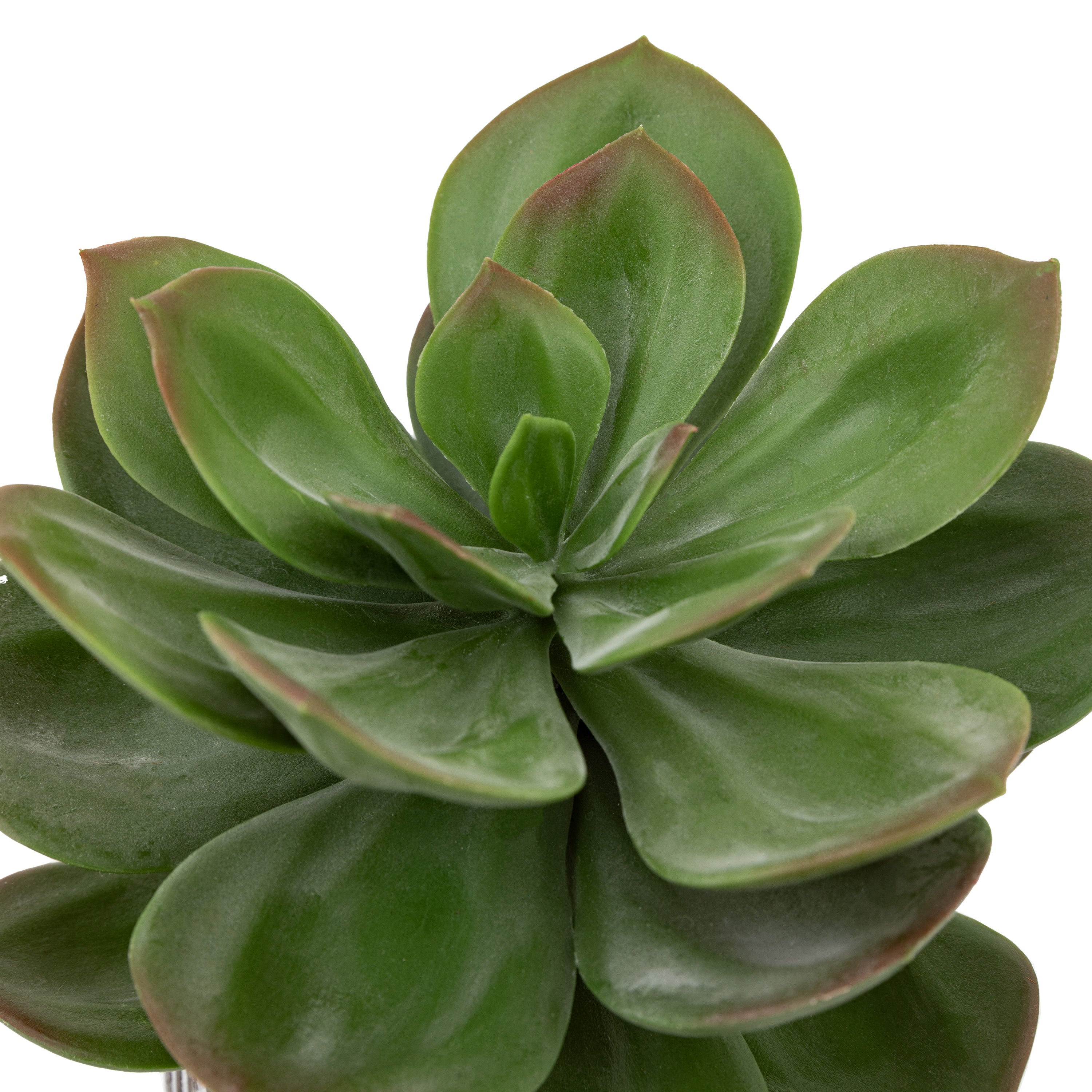 Potted Artificial Succulent in Ribbed Black Ceramic Pot