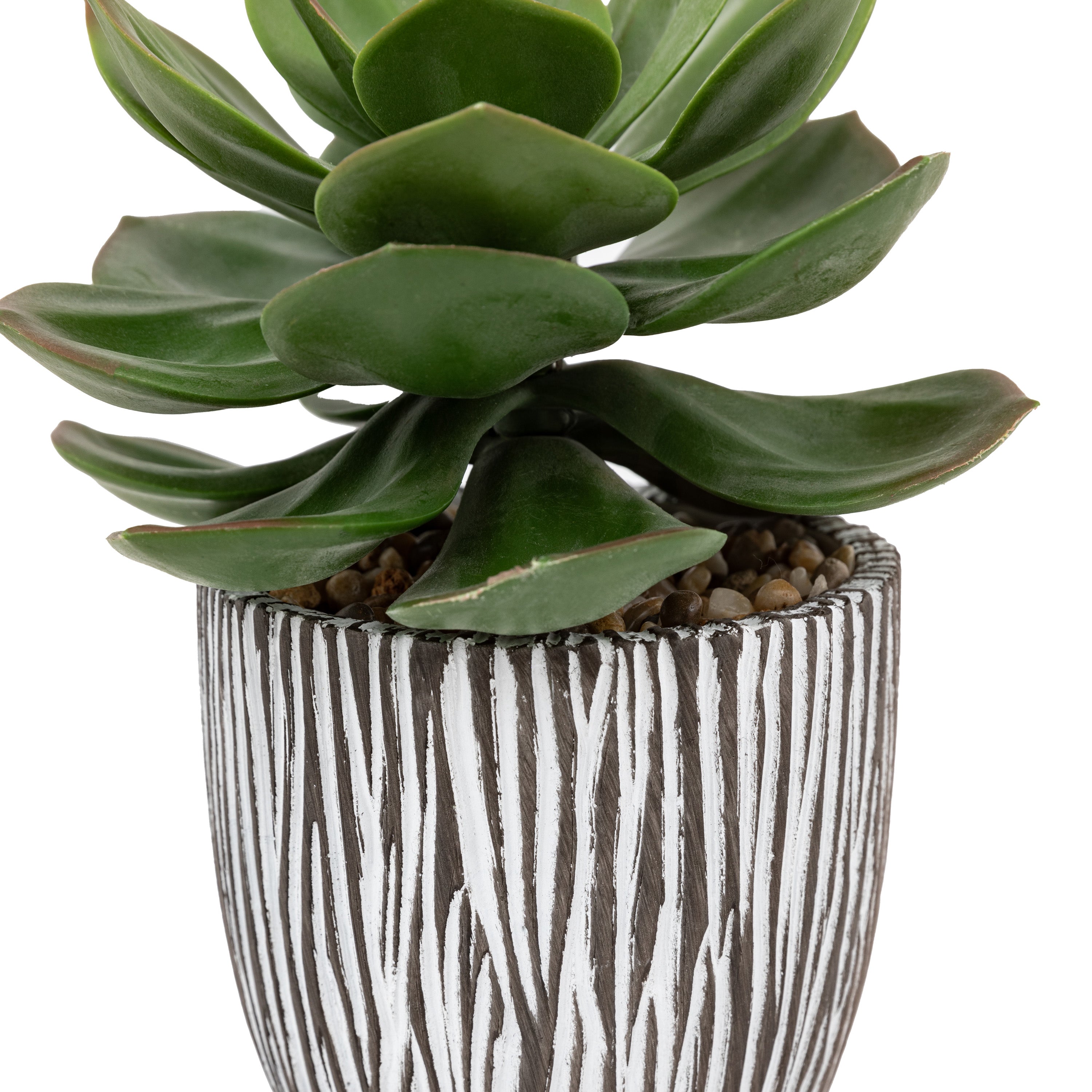Potted Artificial Succulent in Ribbed Black Ceramic Pot