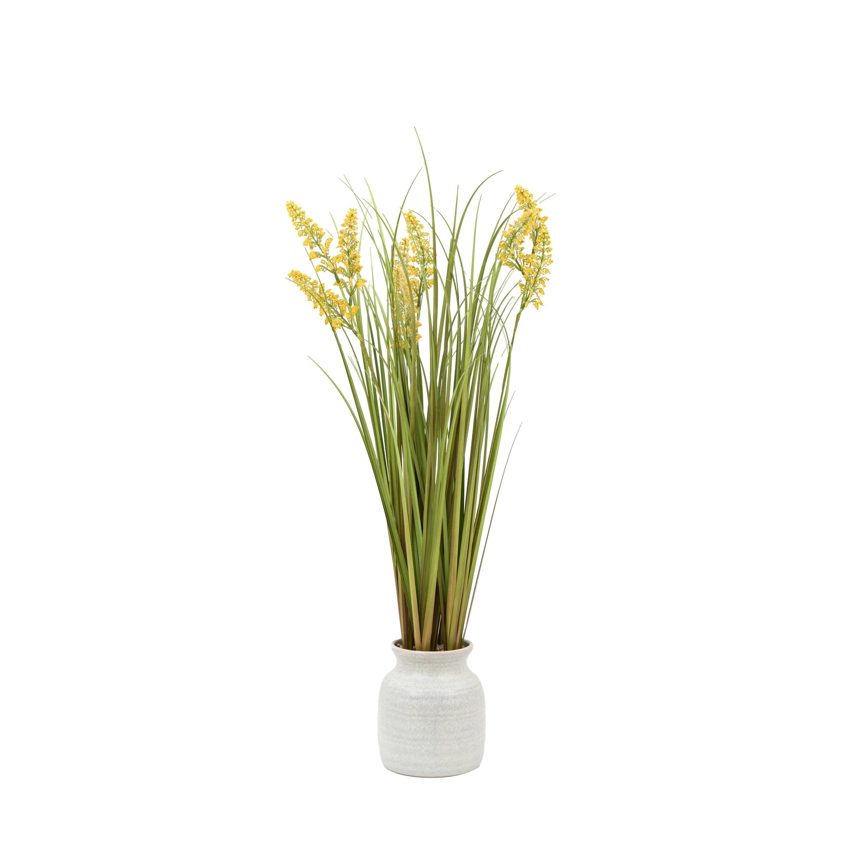 Alderridge Potted Grass with Yellow Wildflower