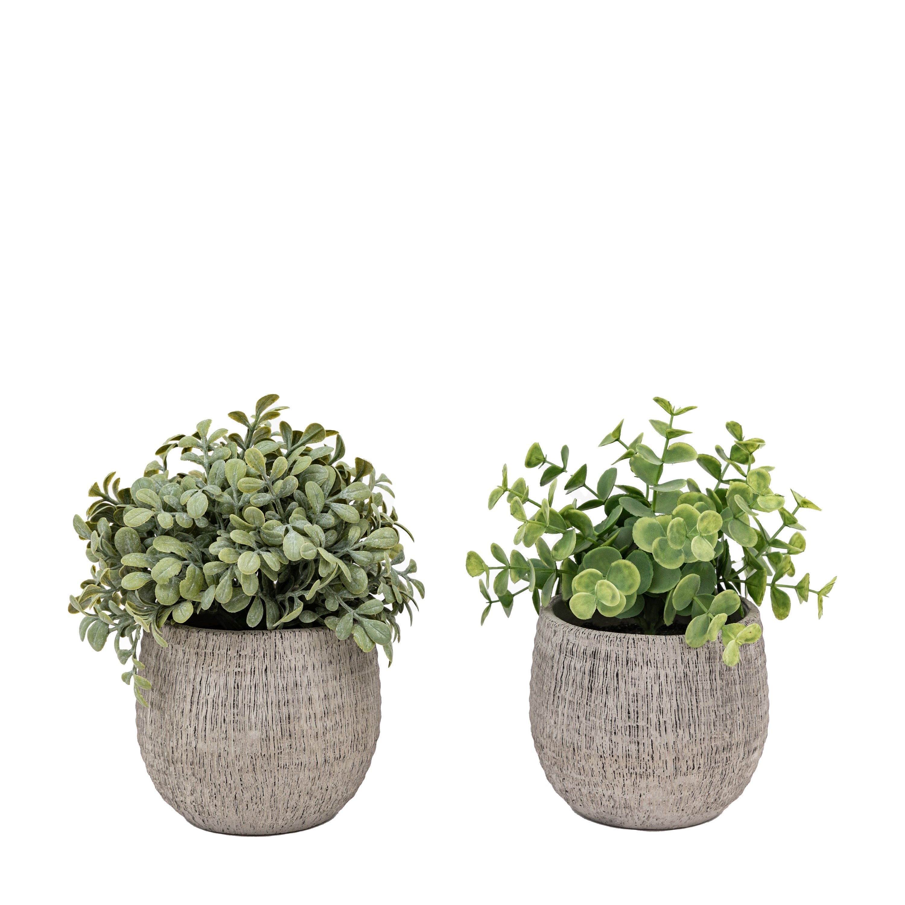 Alderridge Set of 2 Potted Plant Ceramic Scratch Pots Sage