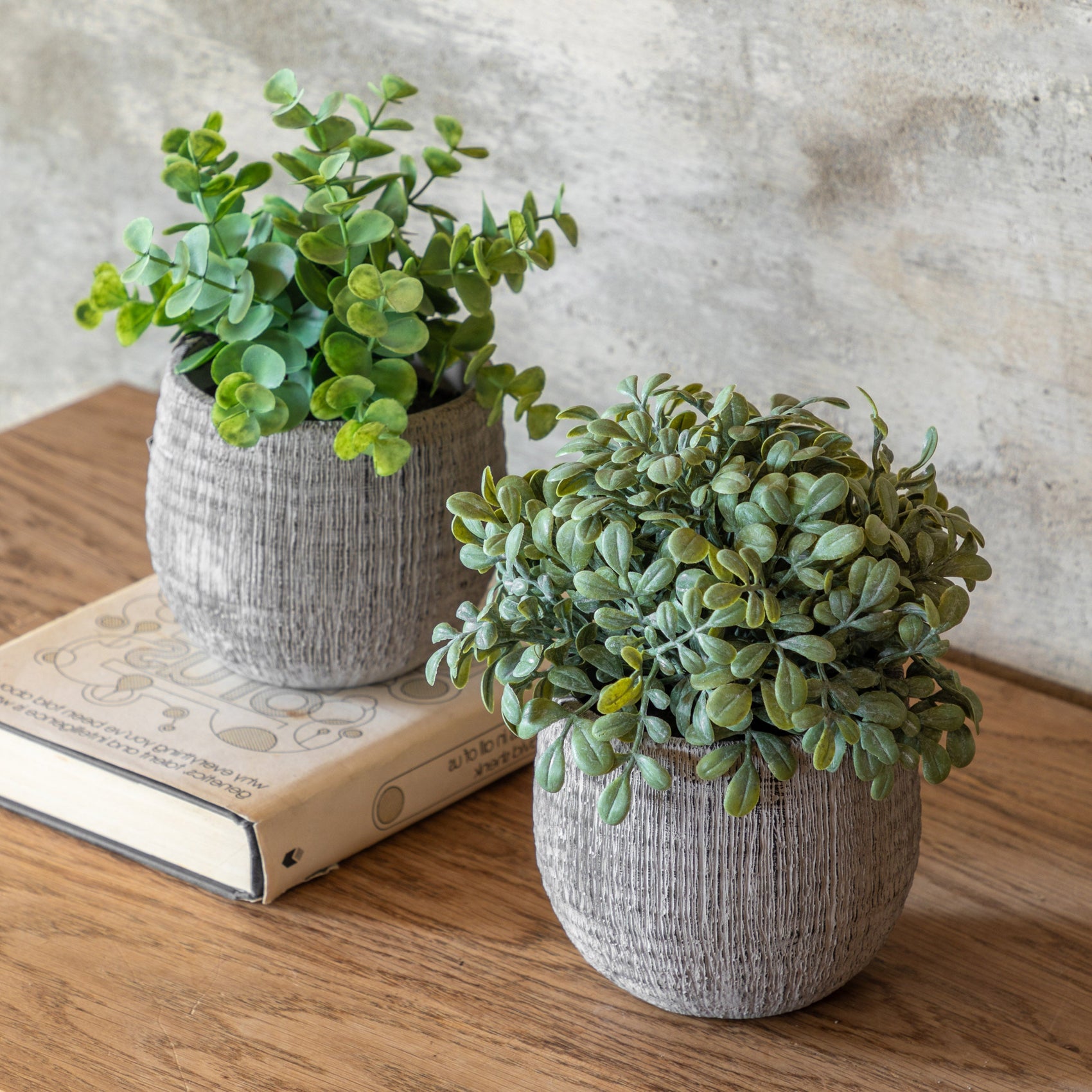 Alderridge Set of 2 Potted Plant Ceramic Scratch Pots Sage